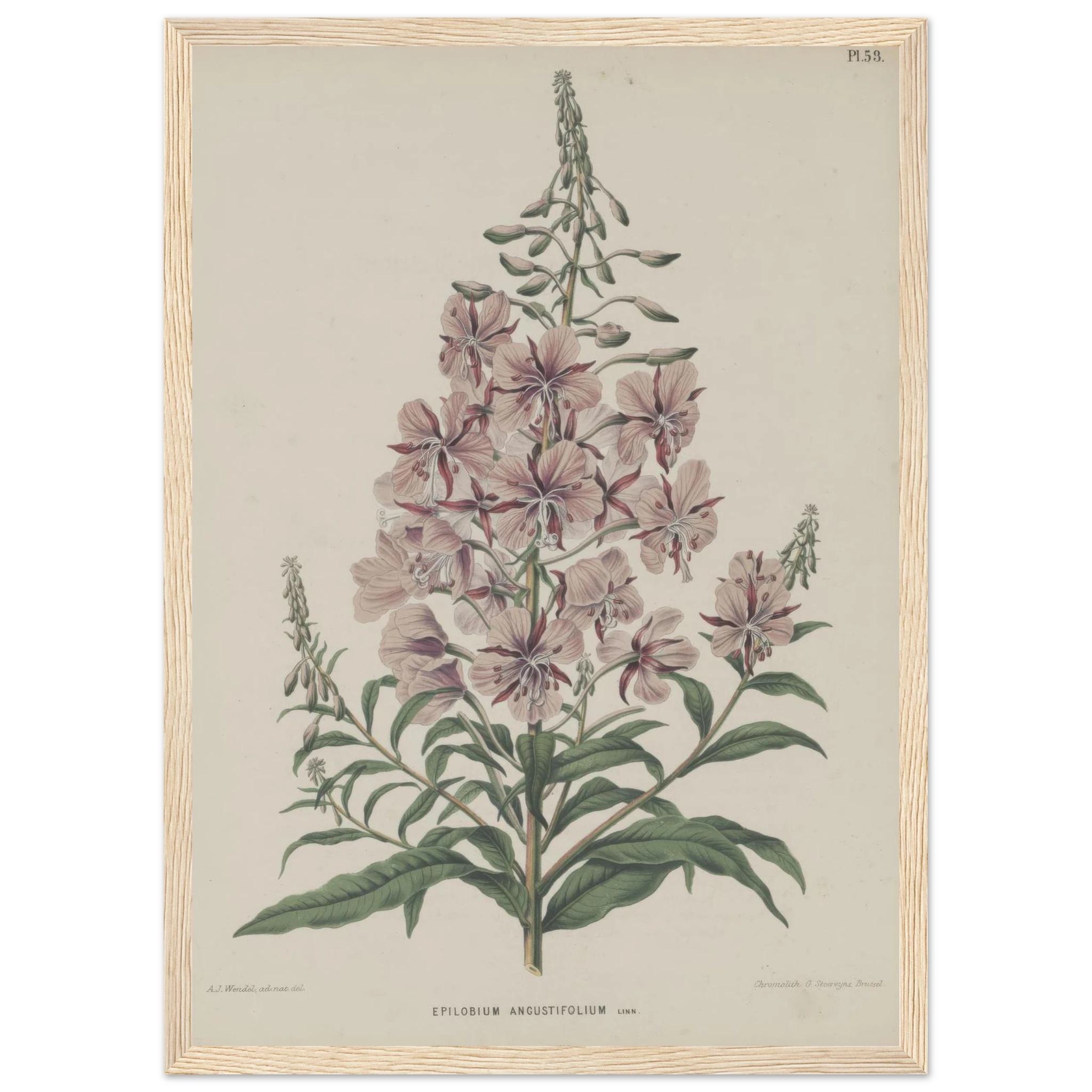 cd527878-9d71-484b-8395-a8345ac91fe1