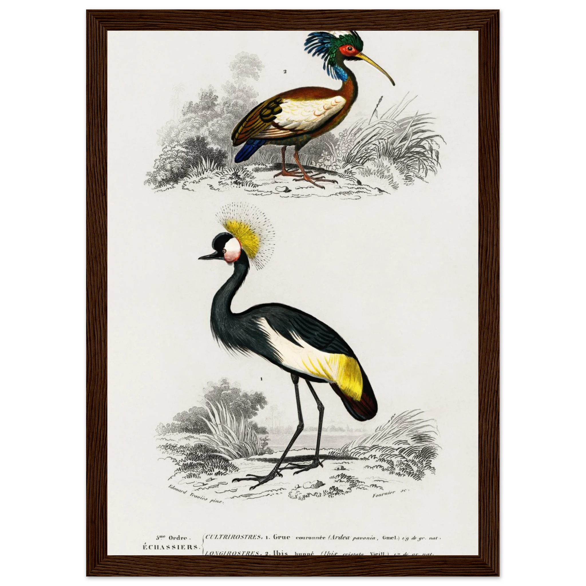 cda85335-b106-4e51-8266-b86dbb6fa8d7