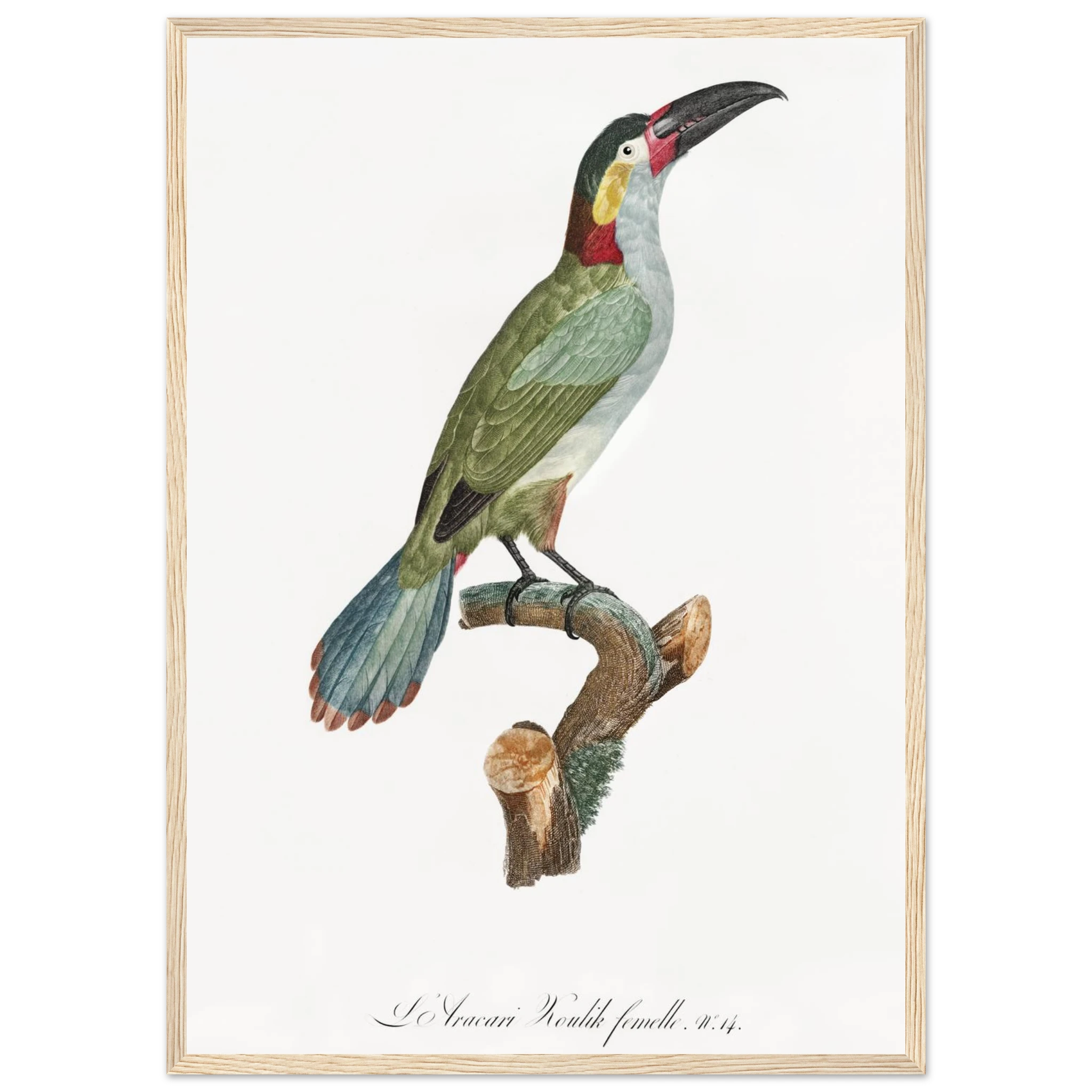 cdde8974-e97f-4720-9d32-a6a39d90efba