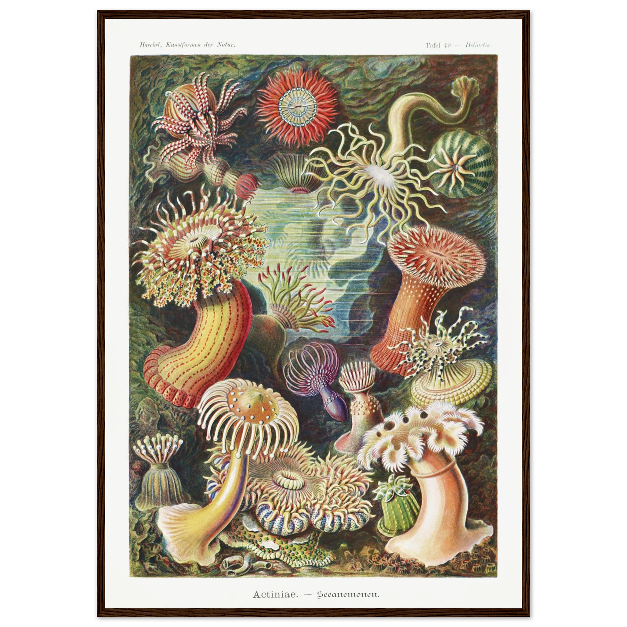 cdfb1aec-e85a-420b-a40b-c415b0b8edc9