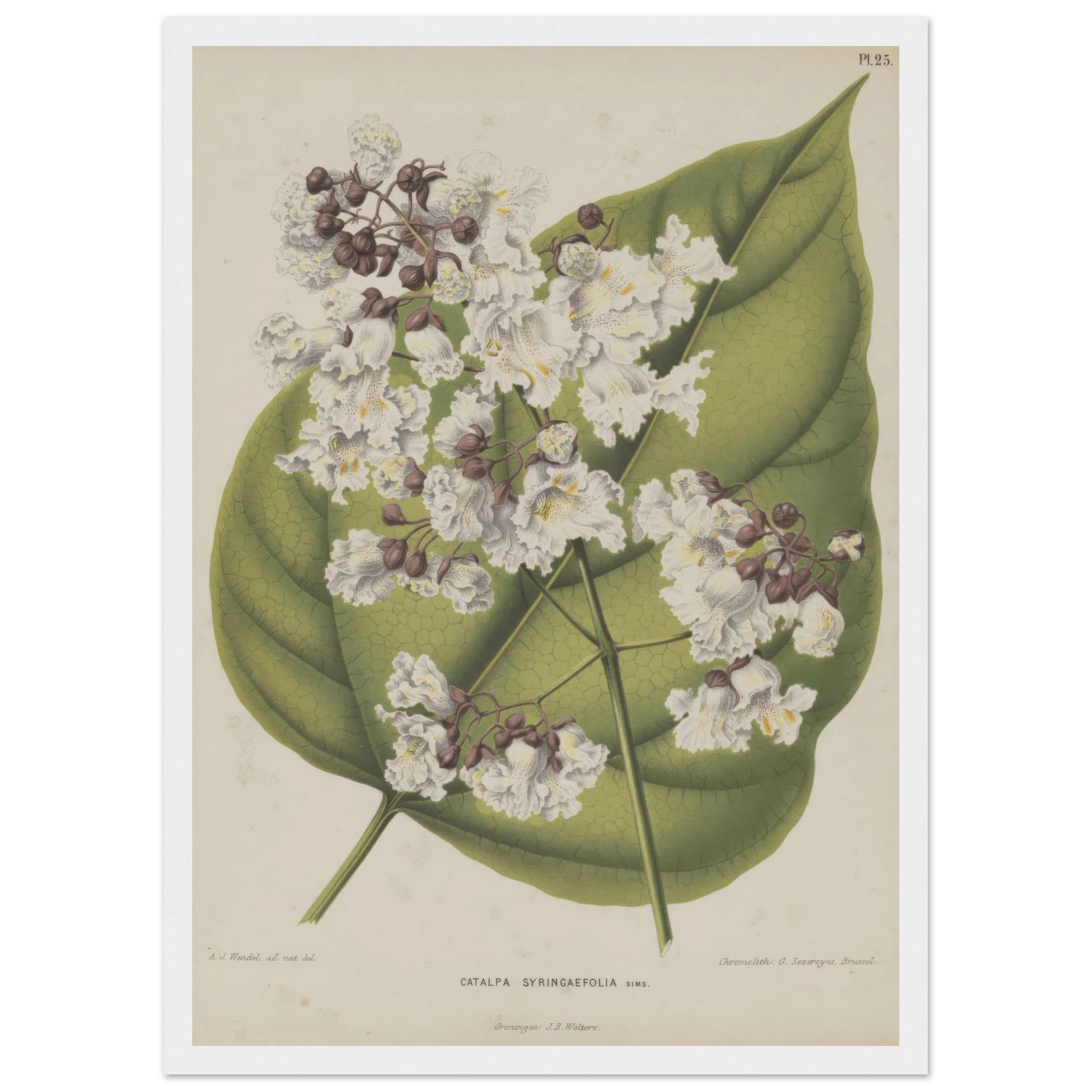 ce04125b-f25d-4d87-9cd9-4f7aa84b8698