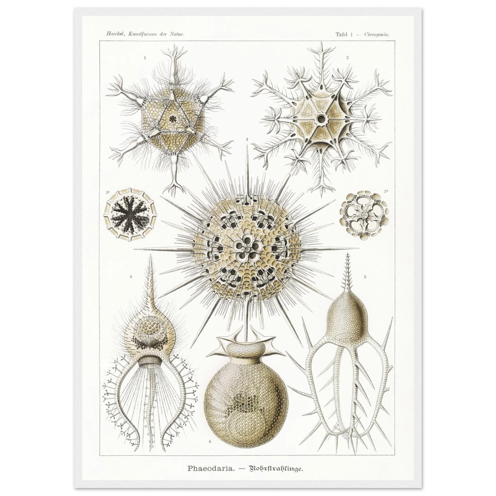 ce1005cd-0f9d-4585-ac54-d1d8c876c23b