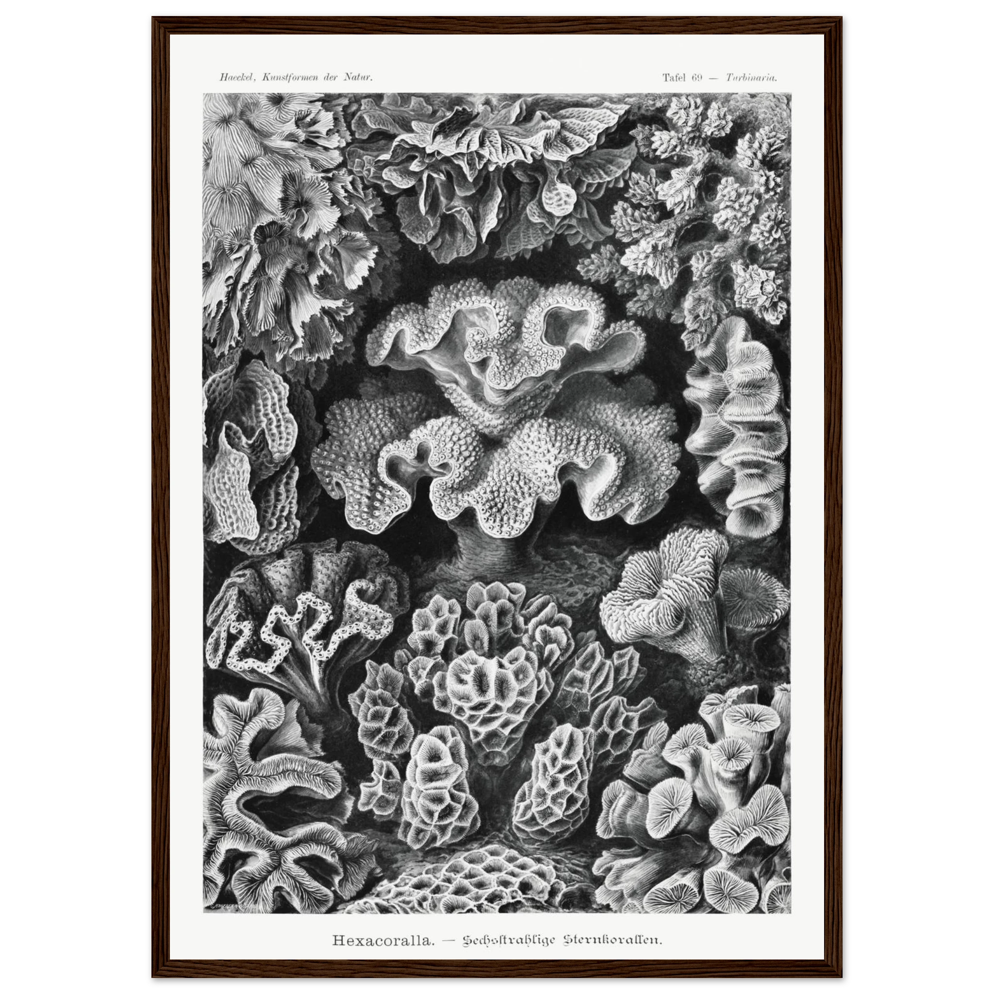 ce987251-216d-4fe8-8b2f-52b2eb007f17