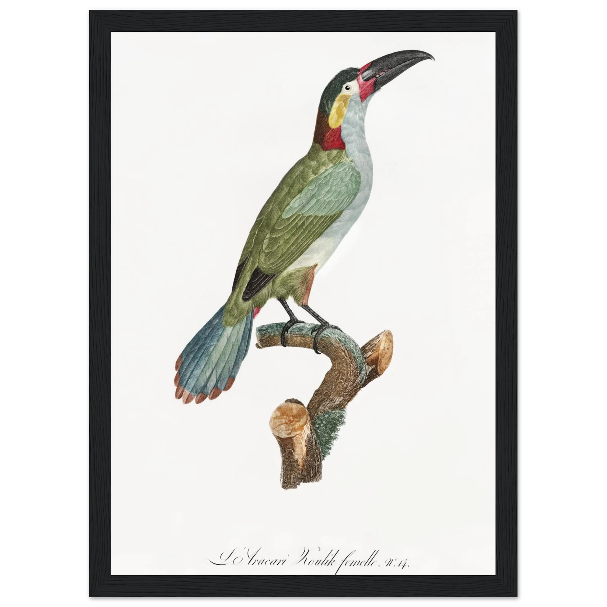 cea2723e-b02e-4d05-9155-eb89bdb97c1f