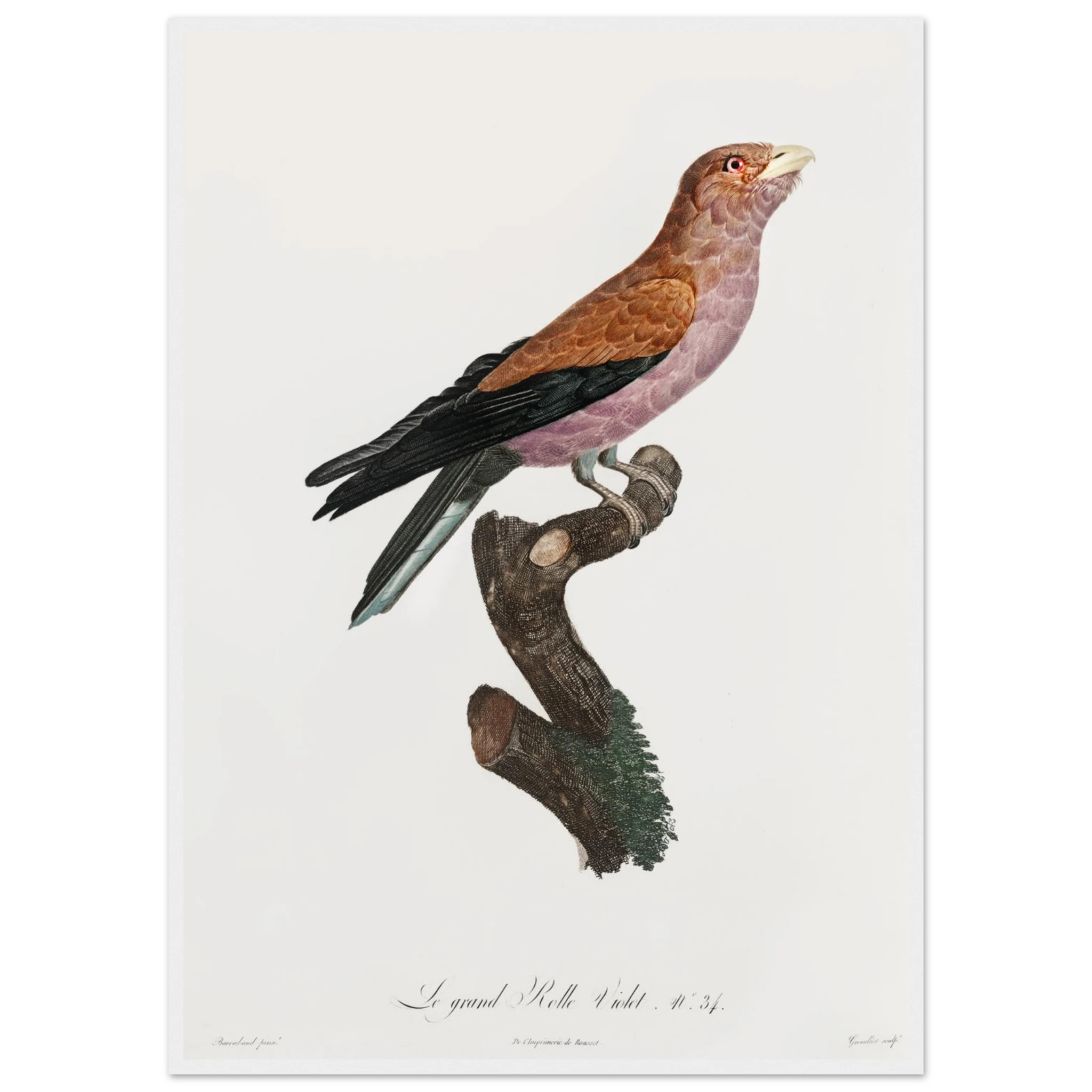 cebcbea8-a700-4298-bca3-2eb01df986b1