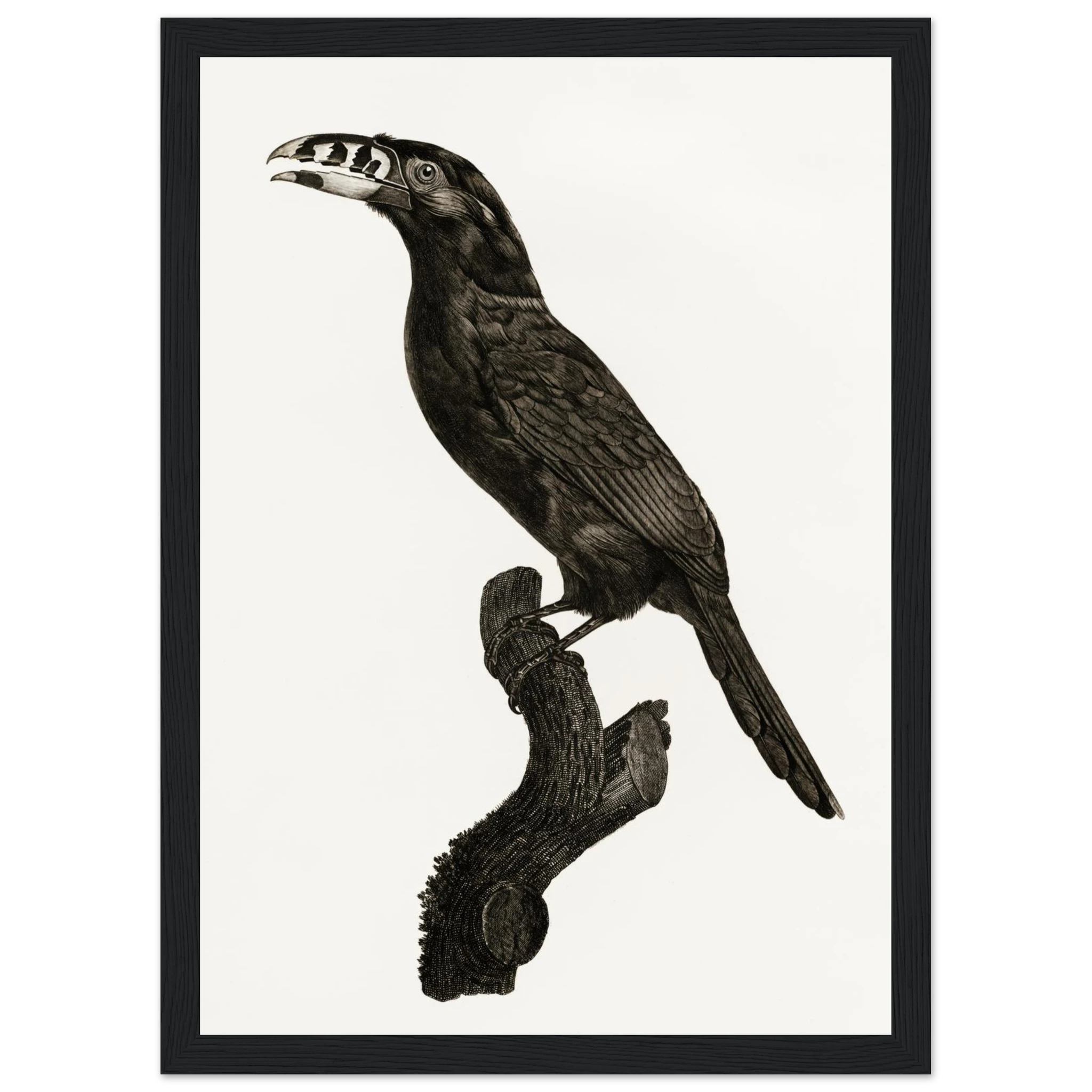 ceea495b-efa9-4178-a150-a97e02779dea