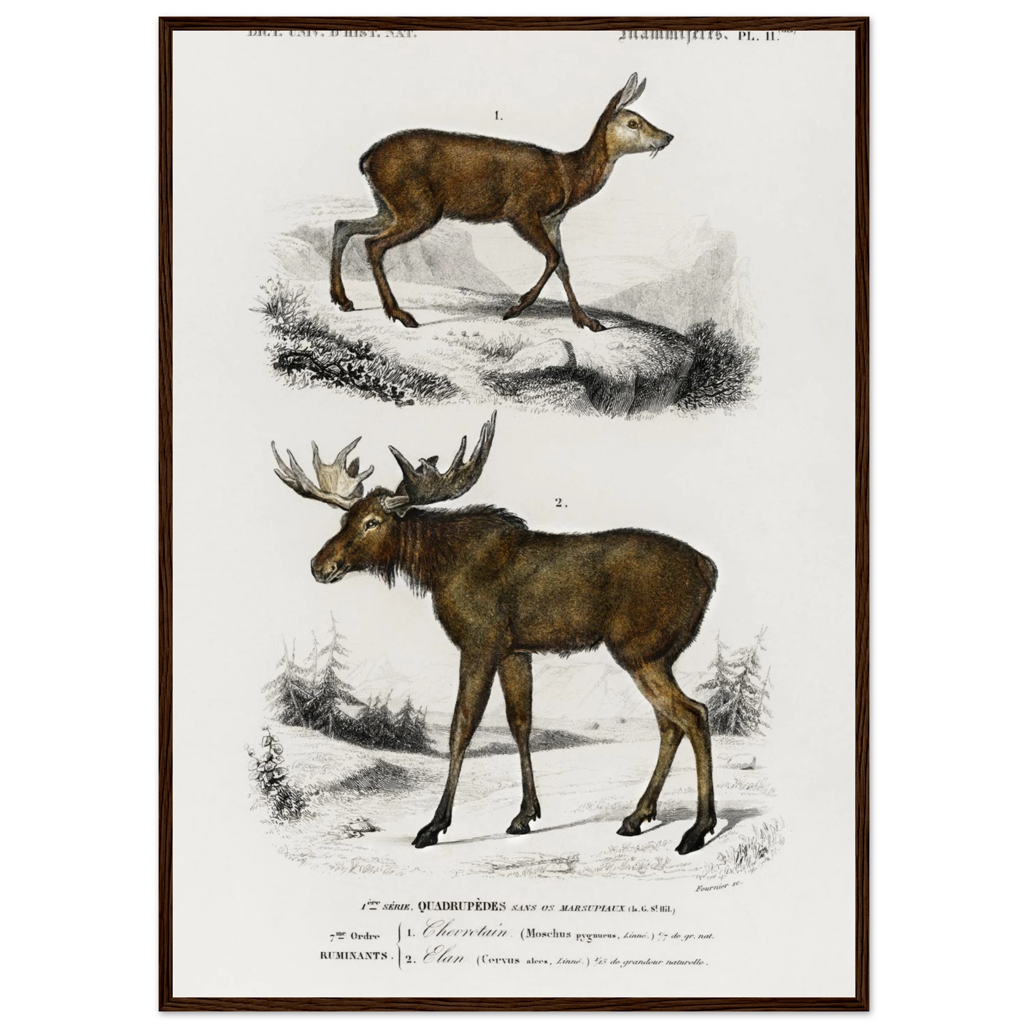 cef8fccb-9f40-41a4-a529-dad8bbc55440