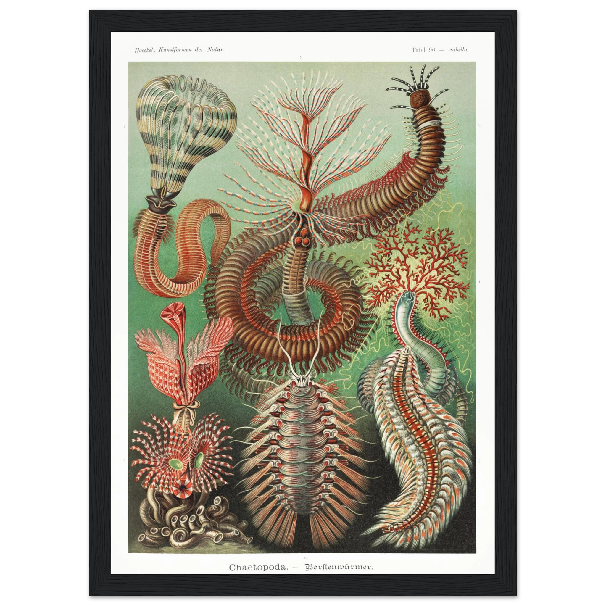 cf254d8f-c50e-4a3f-9a5a-8457a821784b