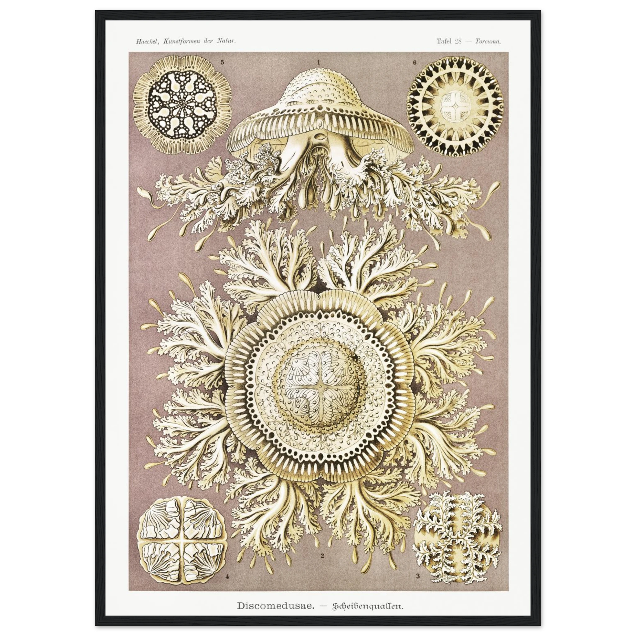 cf3641e9-0fcd-49af-b7a0-37d0ef9a4ad6