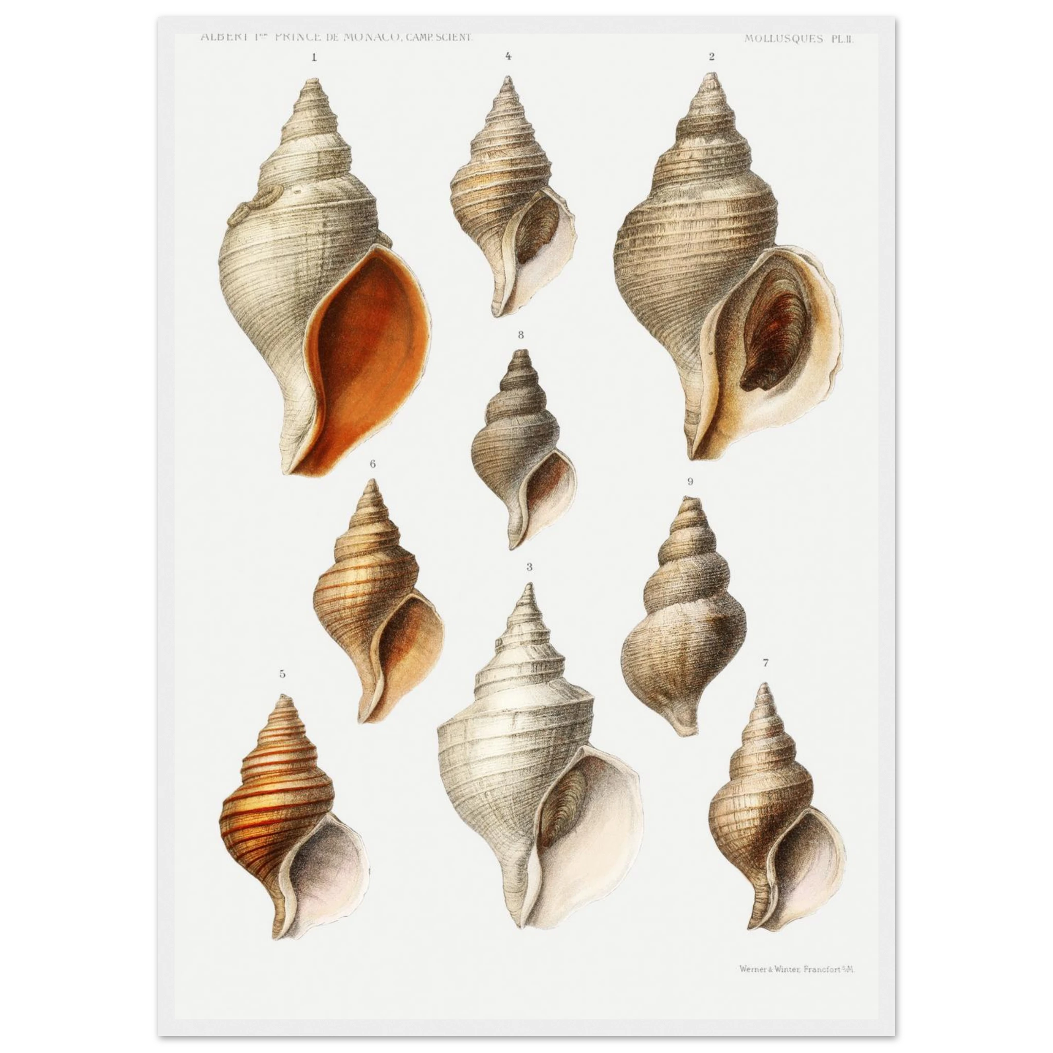 cf6e5895-e250-4347-aa77-cb5a606be4ba