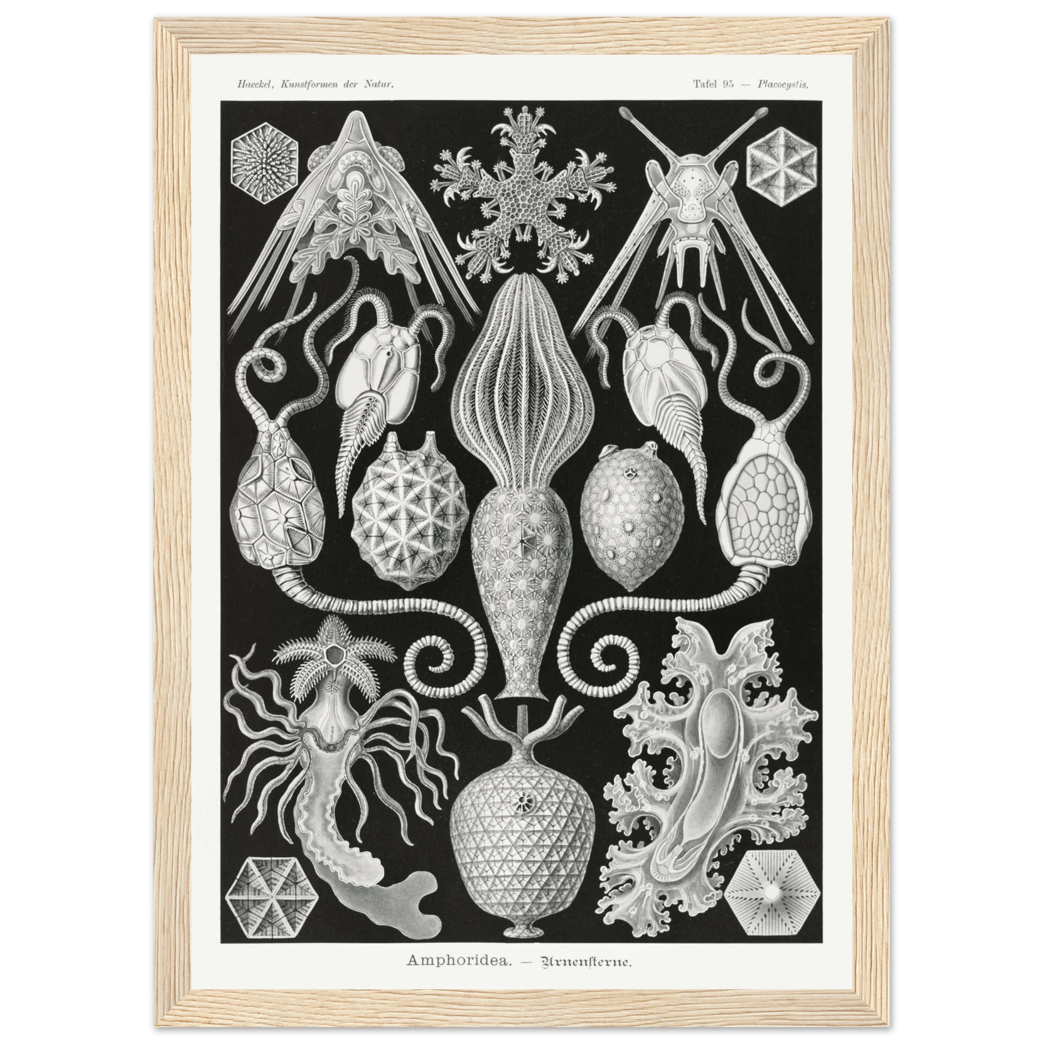 cfc1210e-7e0f-4dee-99ec-5926b58cadf1