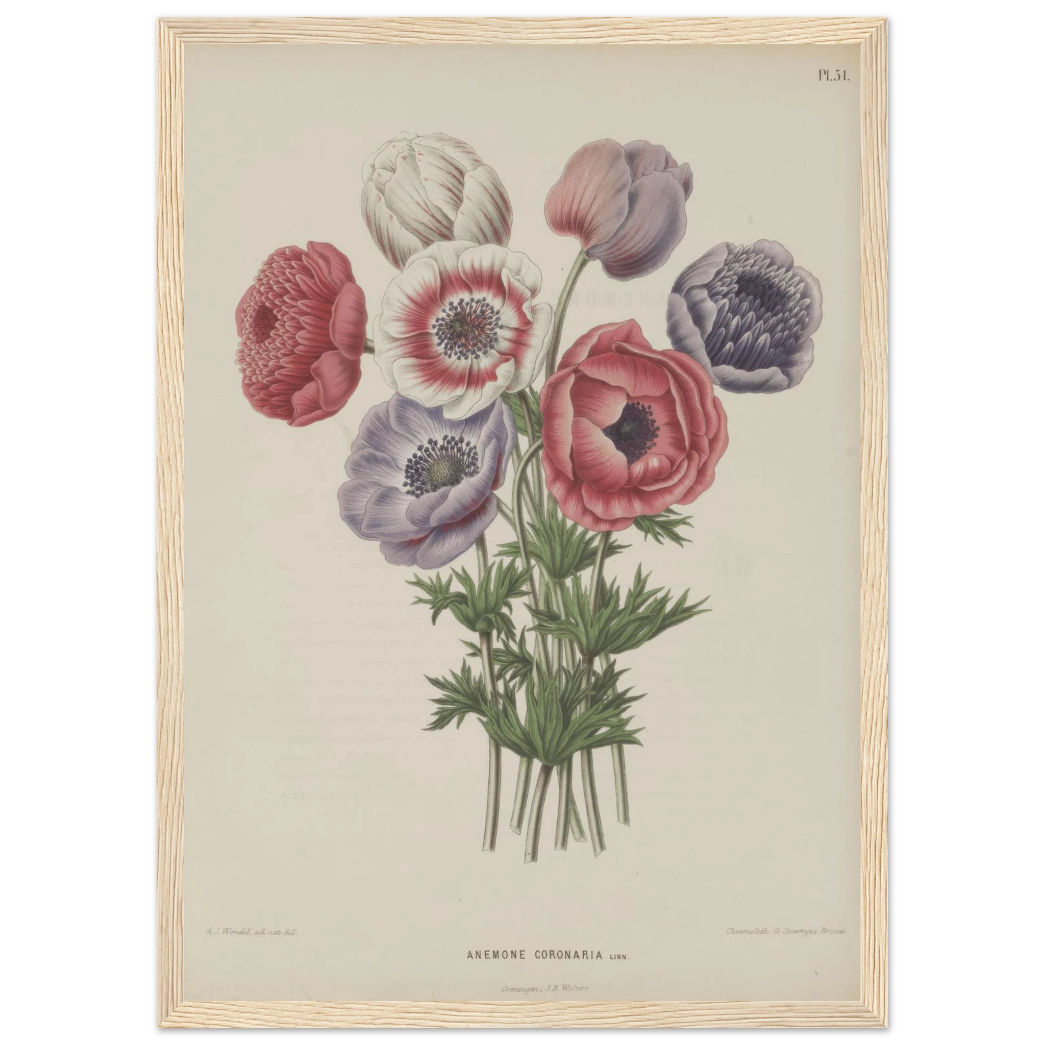 cfe36741-102d-4ea2-a51e-2455e8903b1f