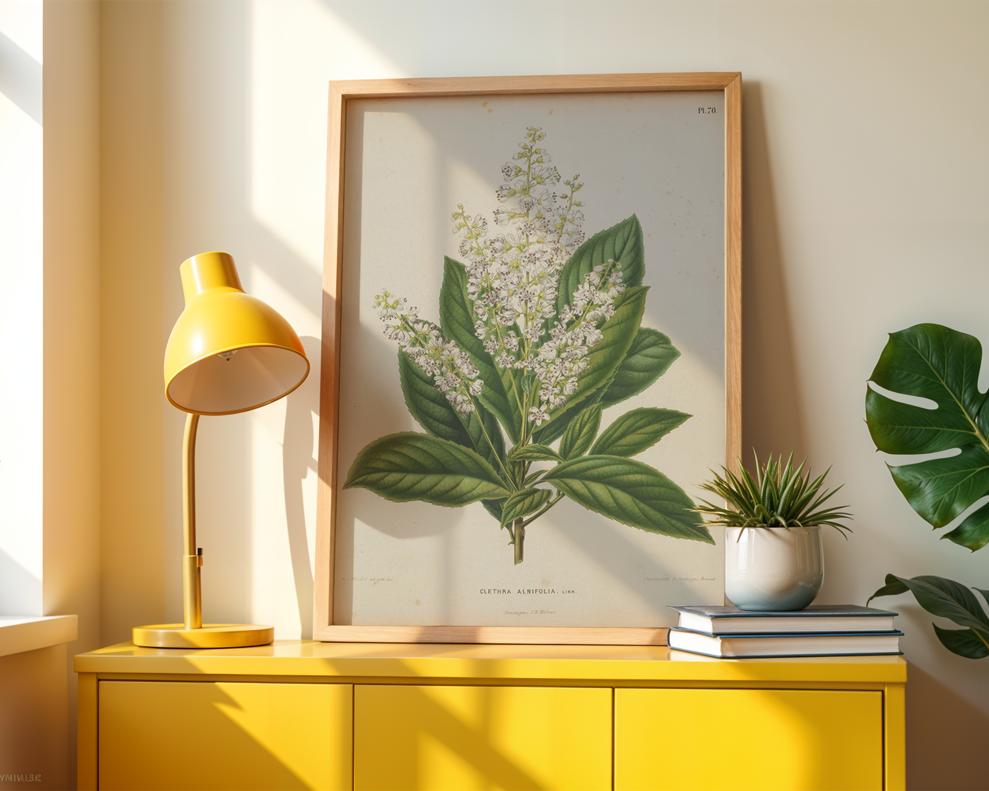 clethra-alnifolia-l-a-j-wendel mockup