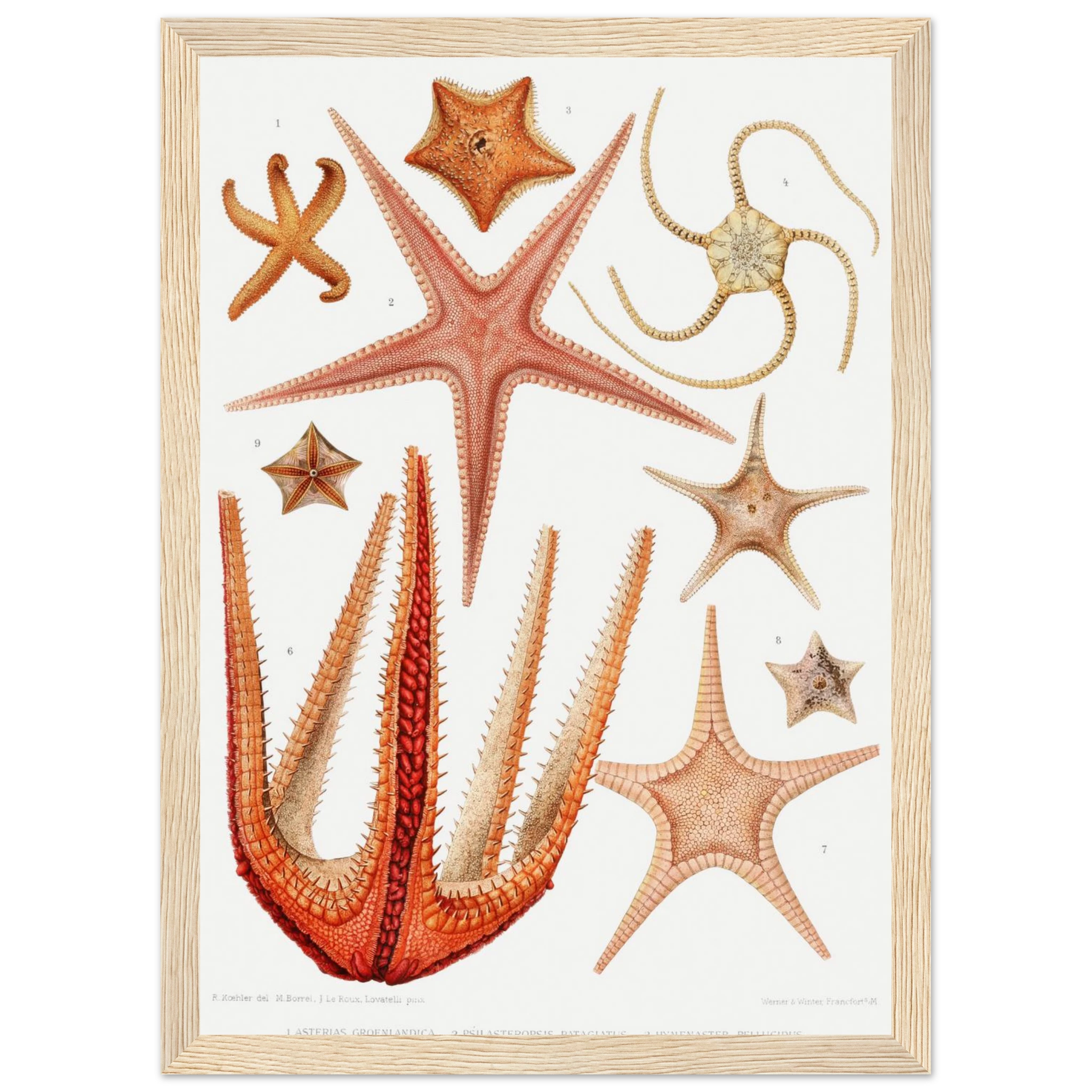 d0561a6f-8cd3-454a-ab6a-f1bb6c521661