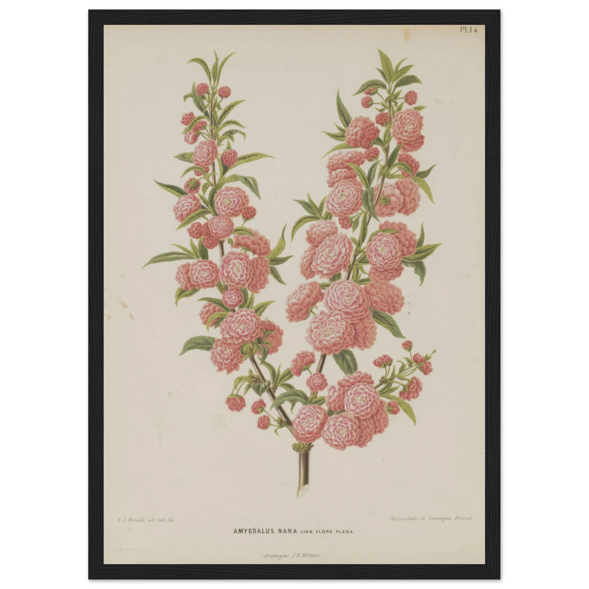 d06af7eb-0d05-4920-9903-1b09af6d2f94