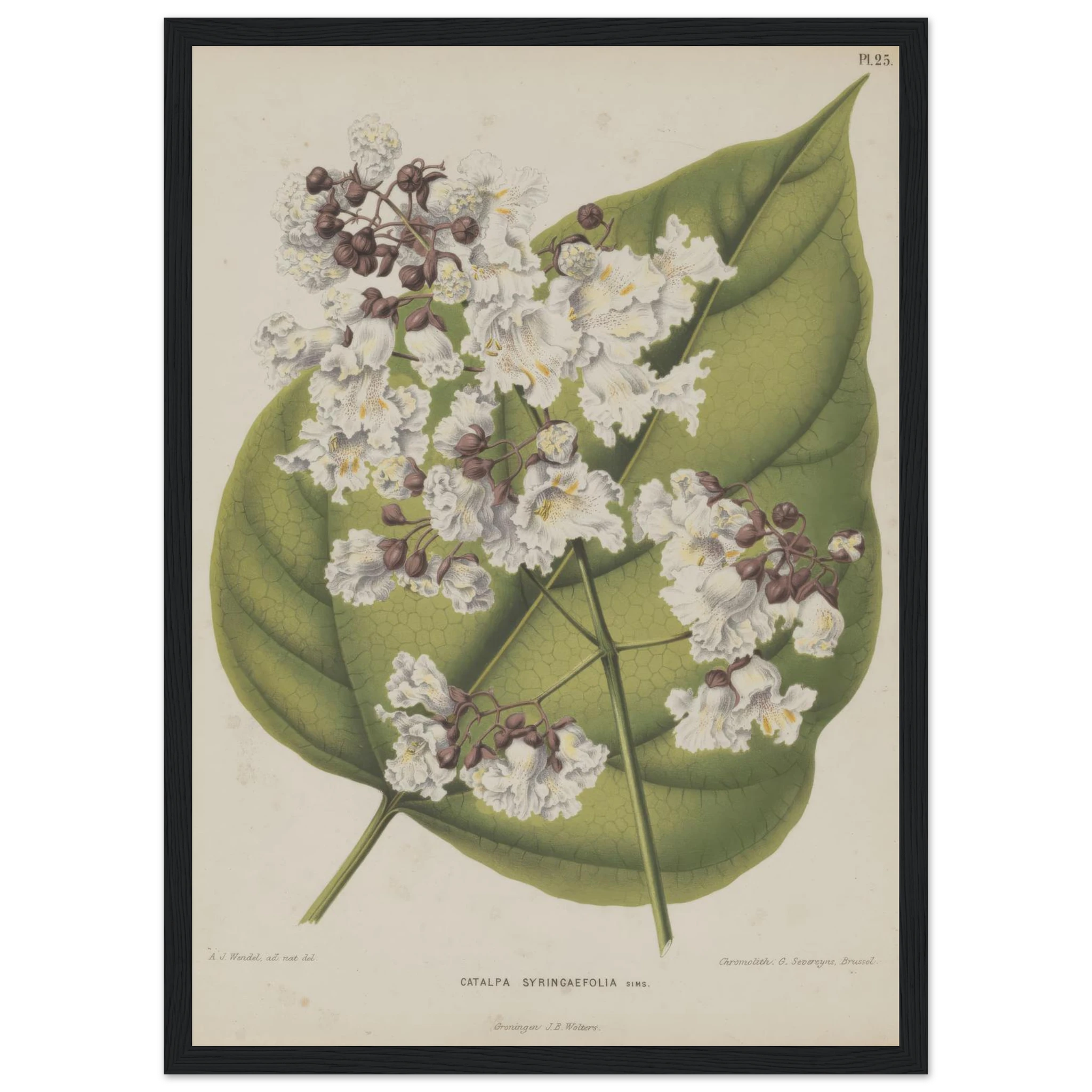 d081a77f-55b2-4964-a2d5-9d472a7f264c