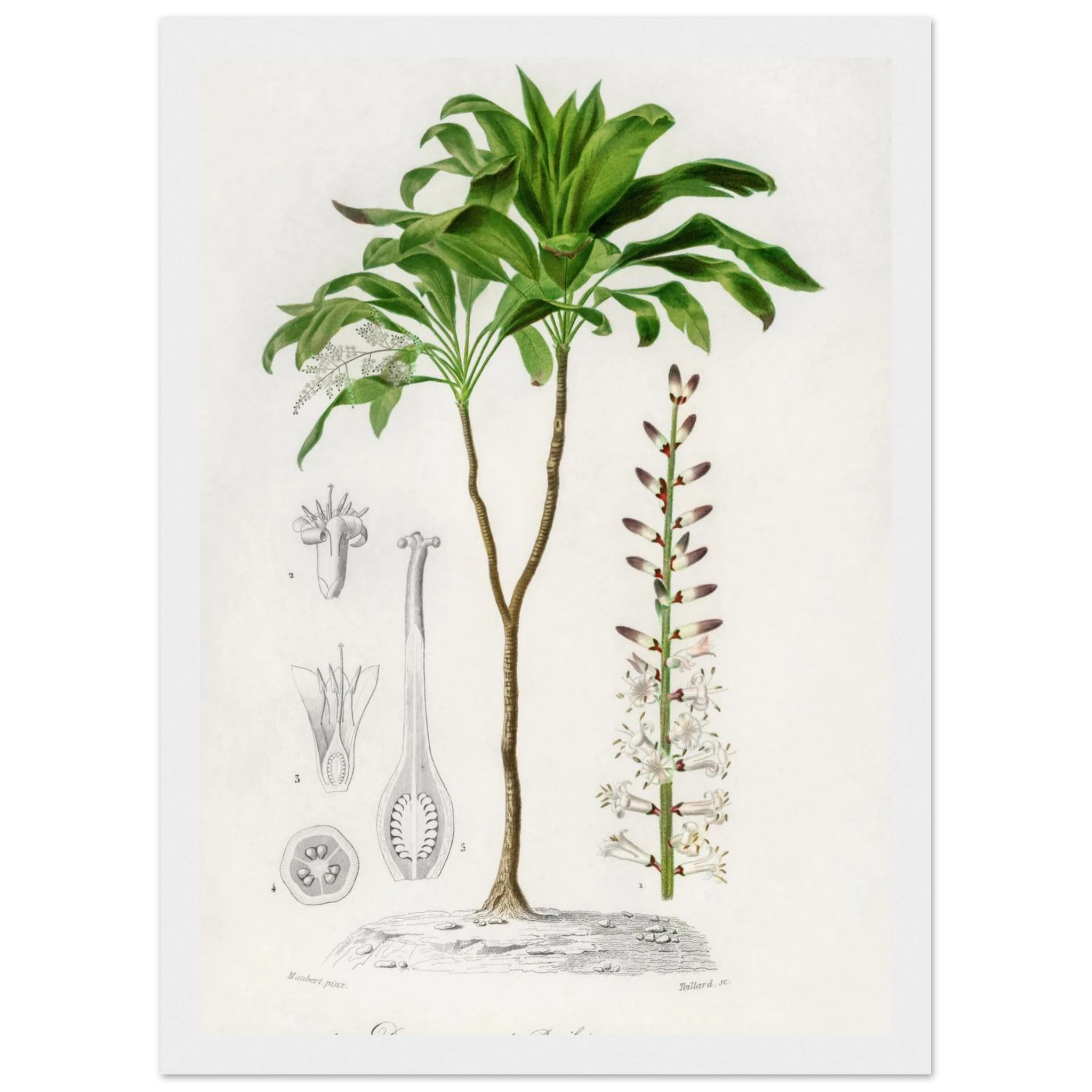 d0ad4a12-8256-40c4-88dc-c7f767675bee