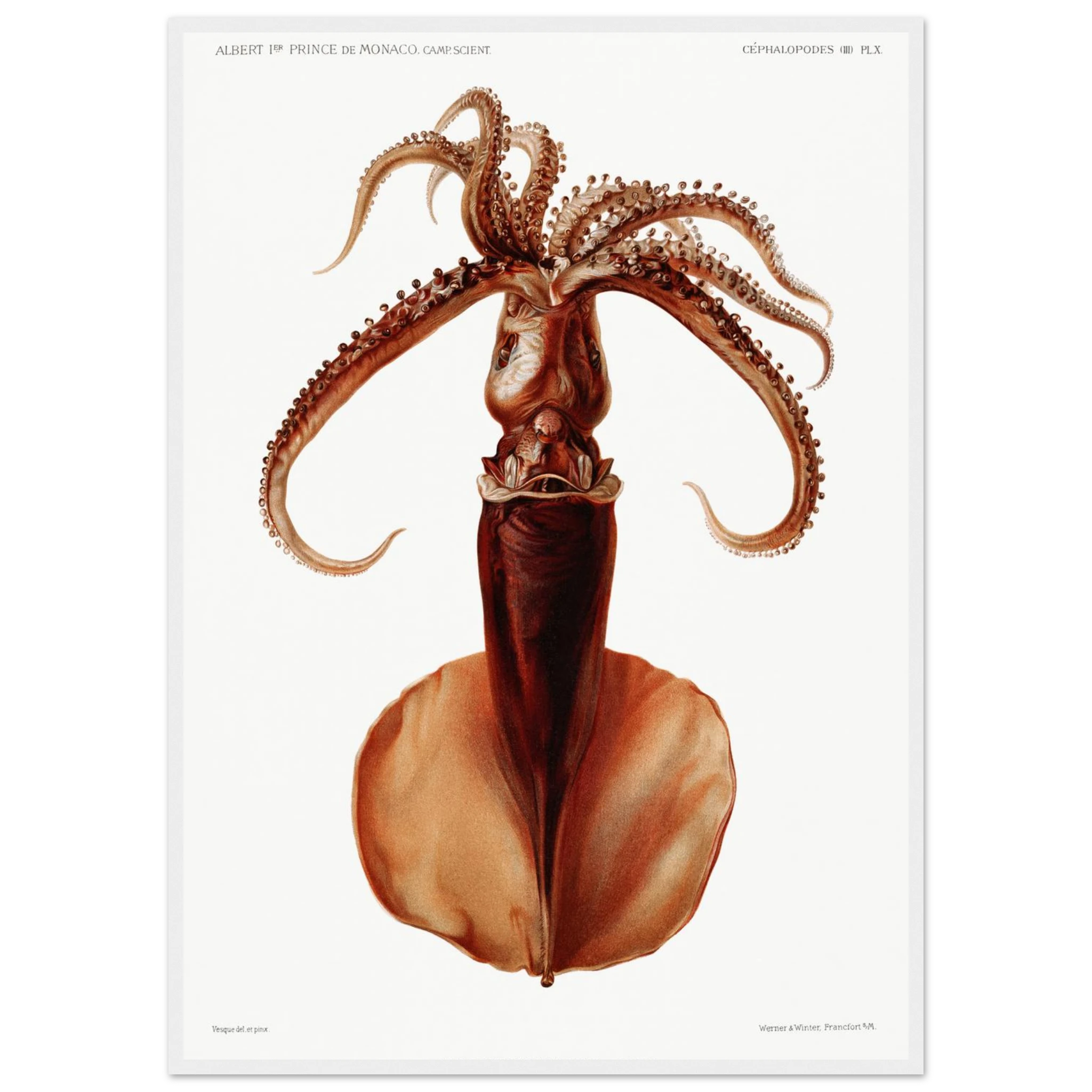 d0ce952a-a027-4415-9e9b-9368260a1338