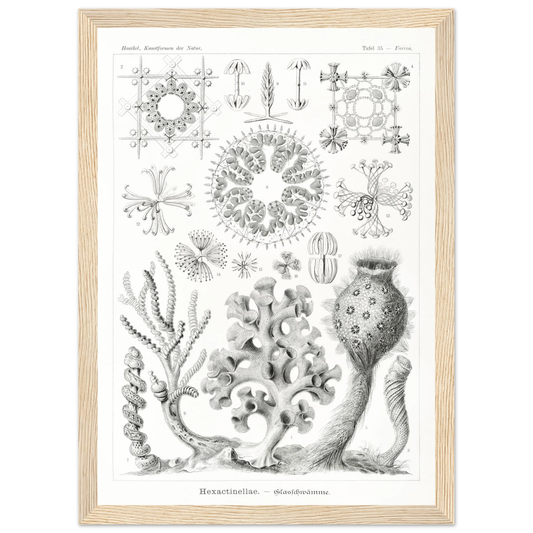 d0dd788a-d993-4959-adc7-3ab64e14f632