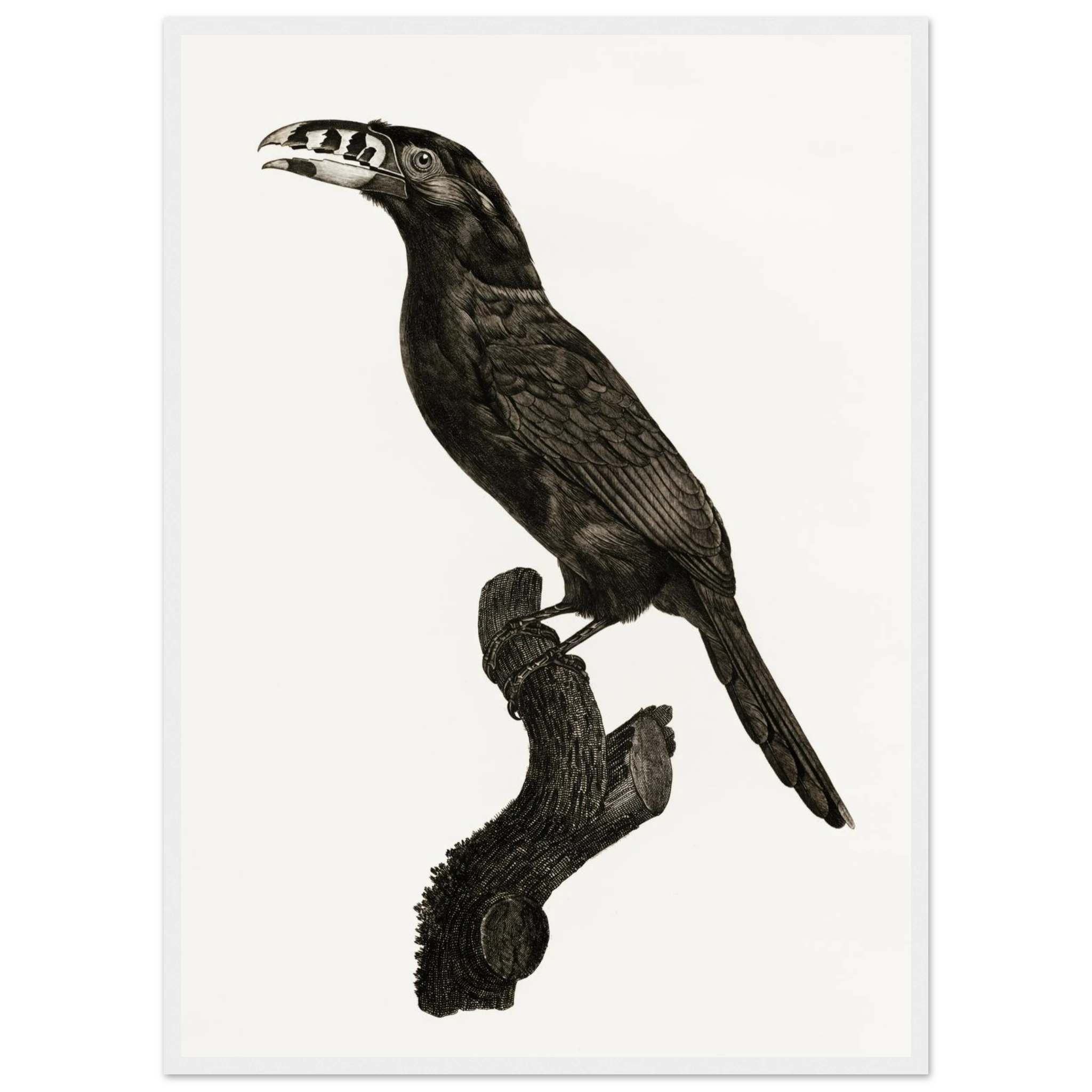 d19b01cf-cf4c-41bb-a323-fc51b5cbed8c