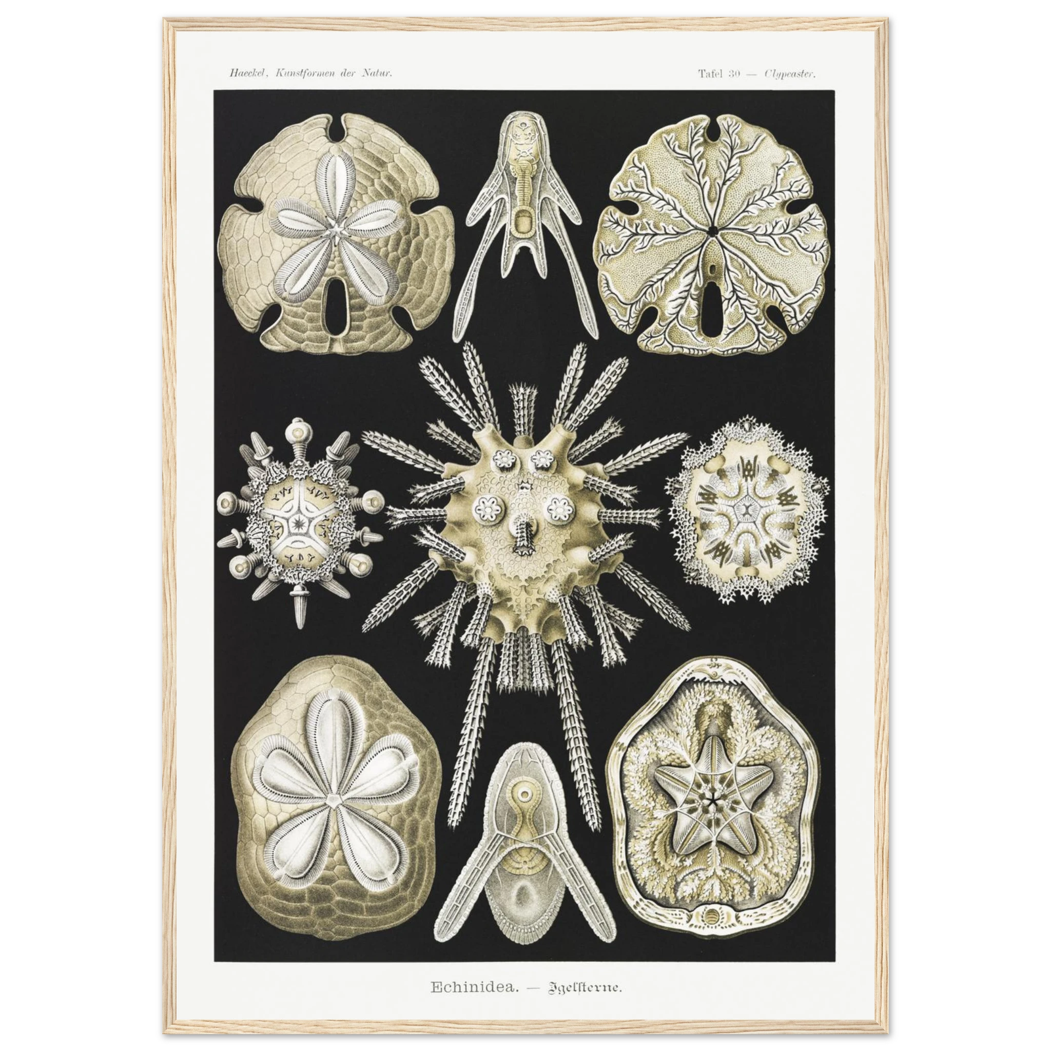 d1ba63f5-71d2-416e-9a39-683bdc428c3e