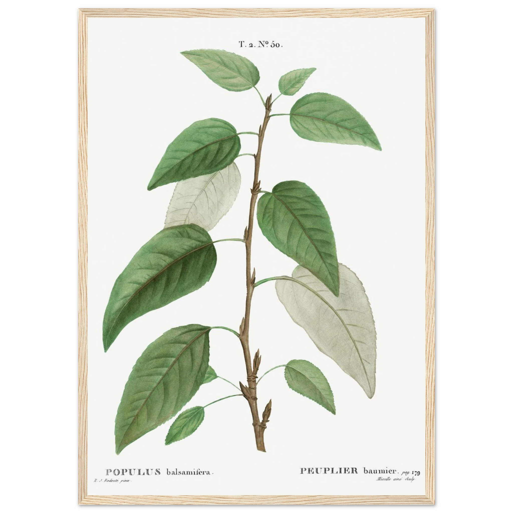 d1f41b93-2b0f-43b1-8b83-21faccd8a5ee