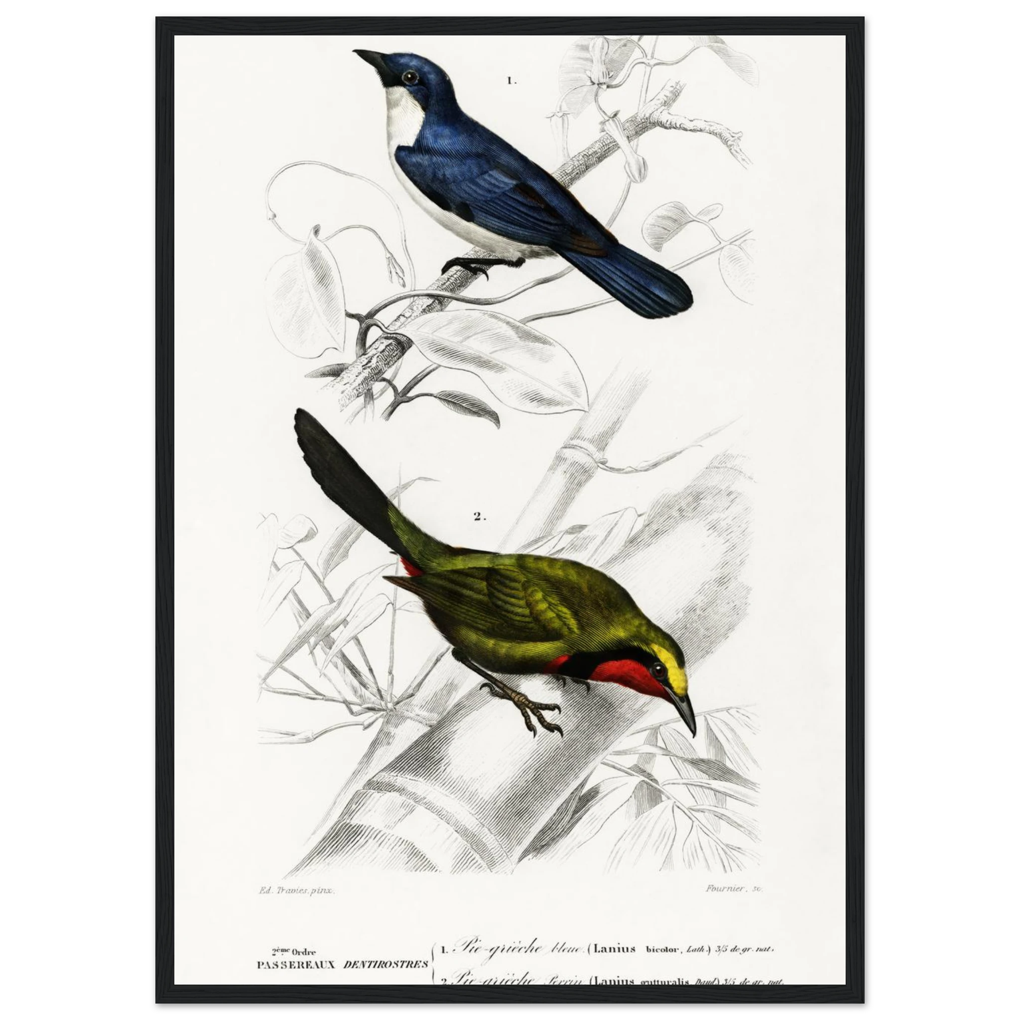 d1fb01dd-b70c-4e57-9a6c-acdfe40c5638