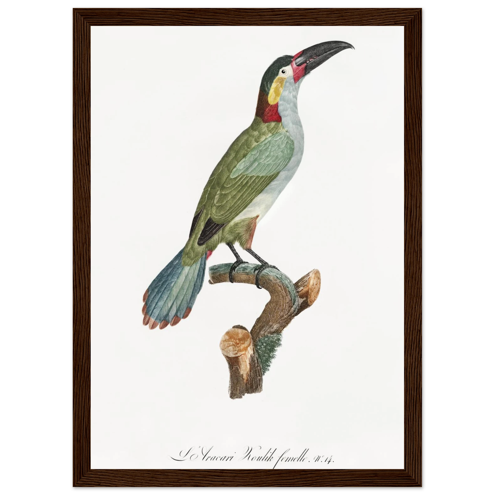 d2096350-2286-44dd-a822-49663d869ef4