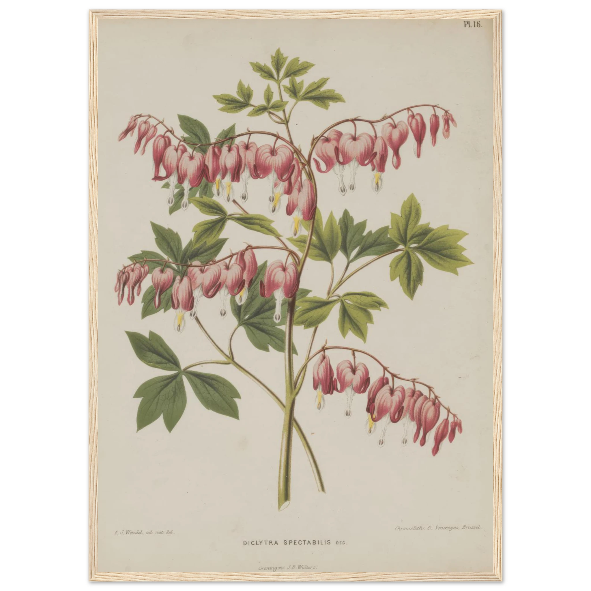 d2151a2a-dc2f-4cb3-befe-263b03d4d63b