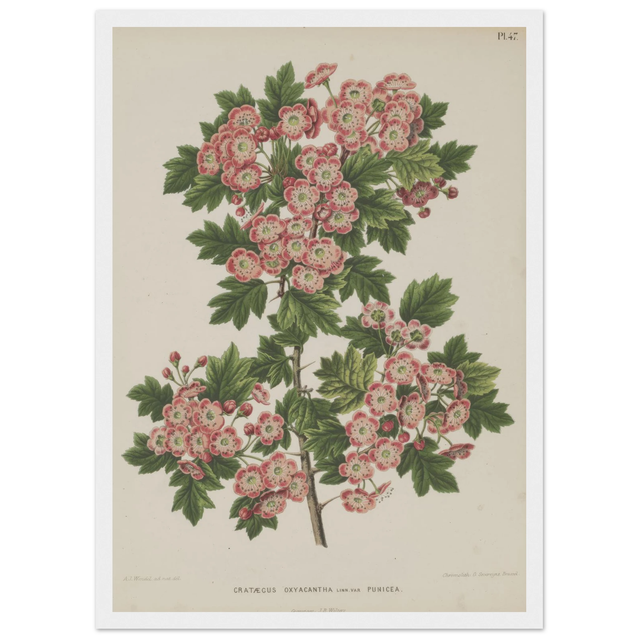 d22b5173-f084-47e1-8481-0fb7dd58044e