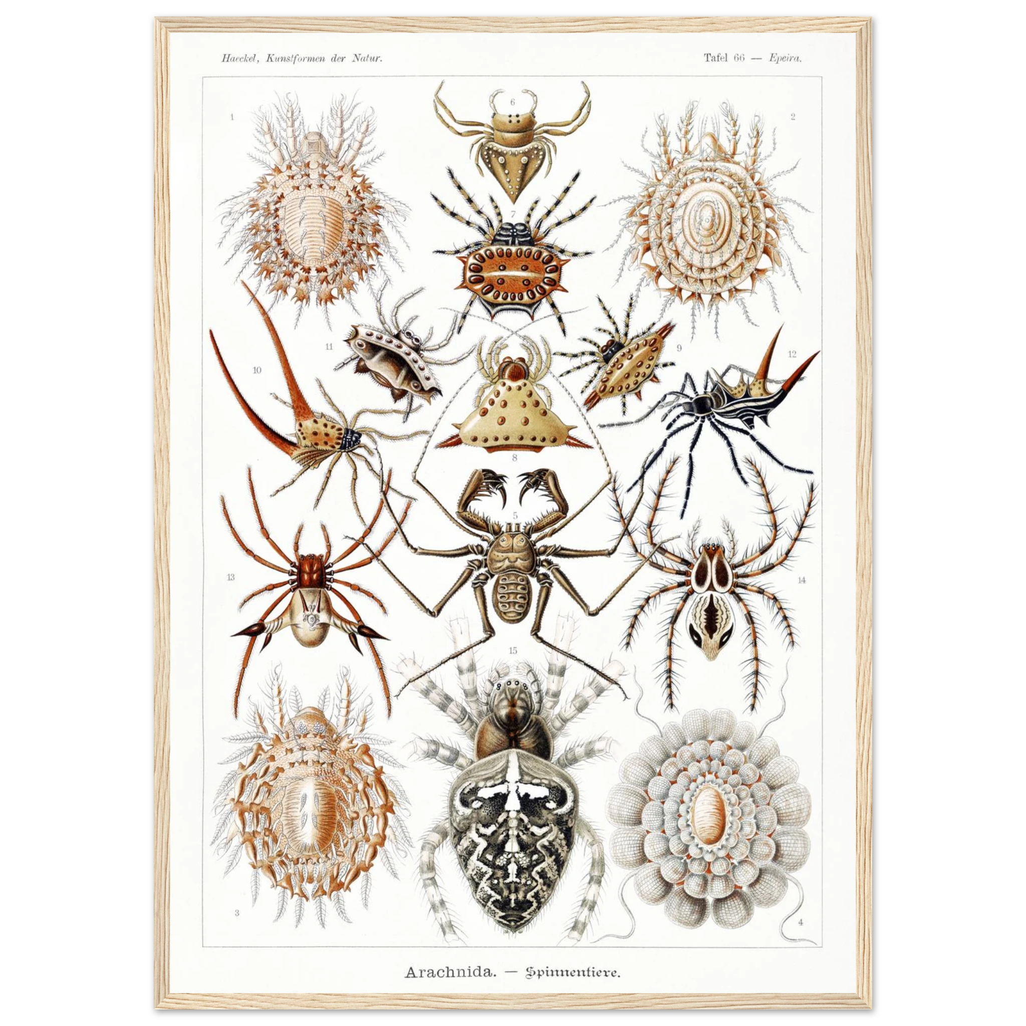 d2e96165-4513-4fbb-859a-0fdf6ce1b666