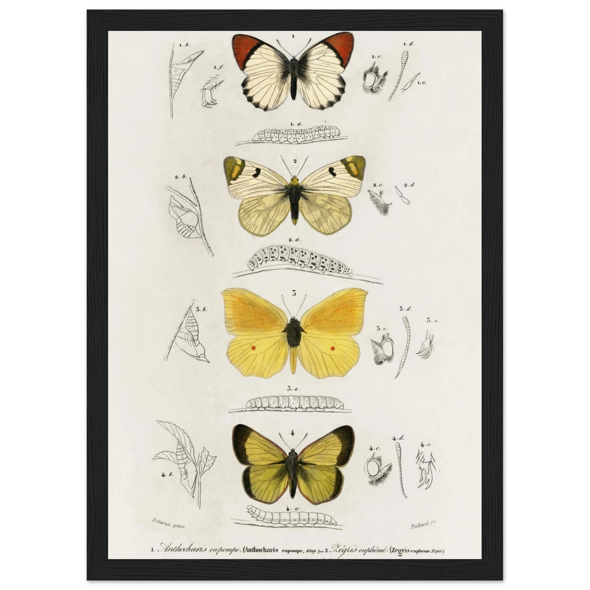 d3476ba5-49ee-4a29-b84f-d326d8961d12