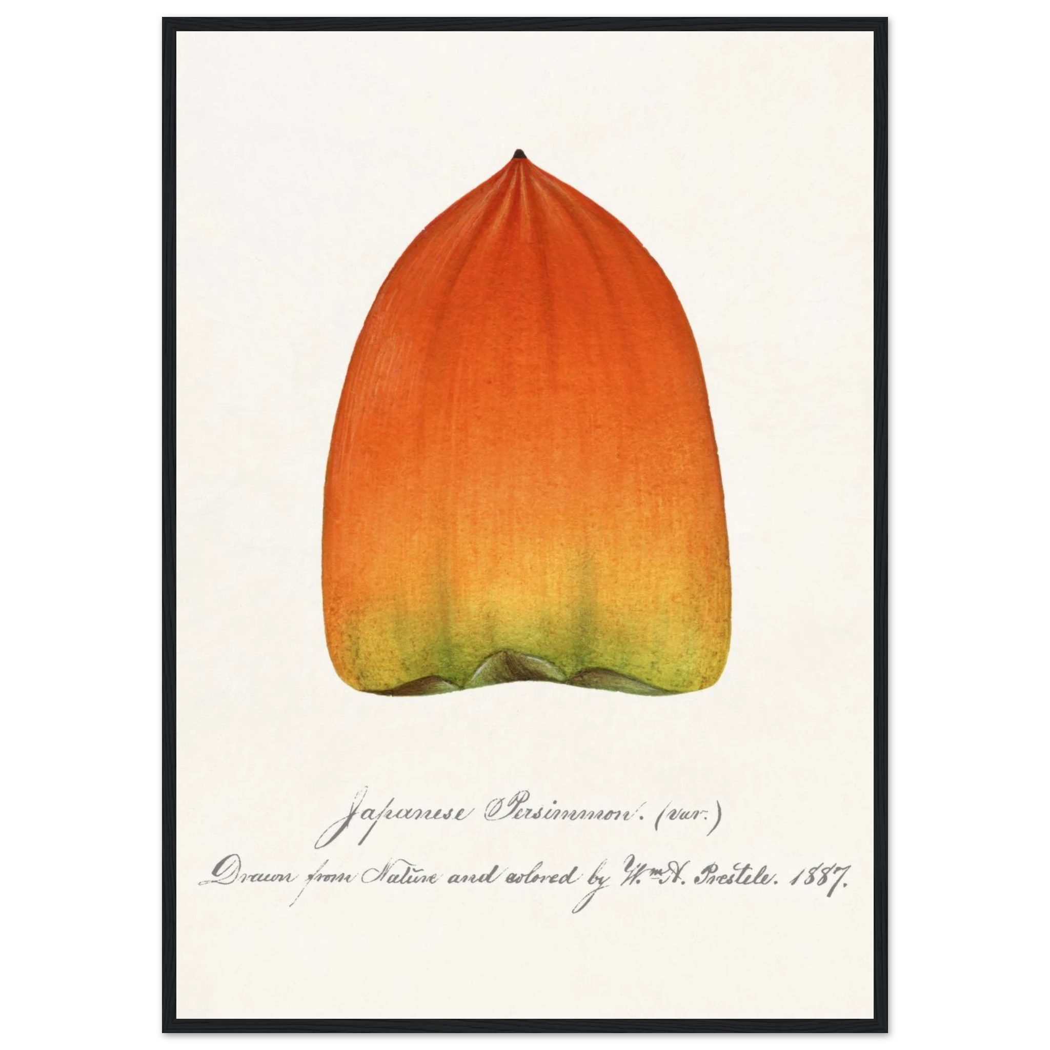 d3534986-88b2-42b3-9ad5-60d249208548