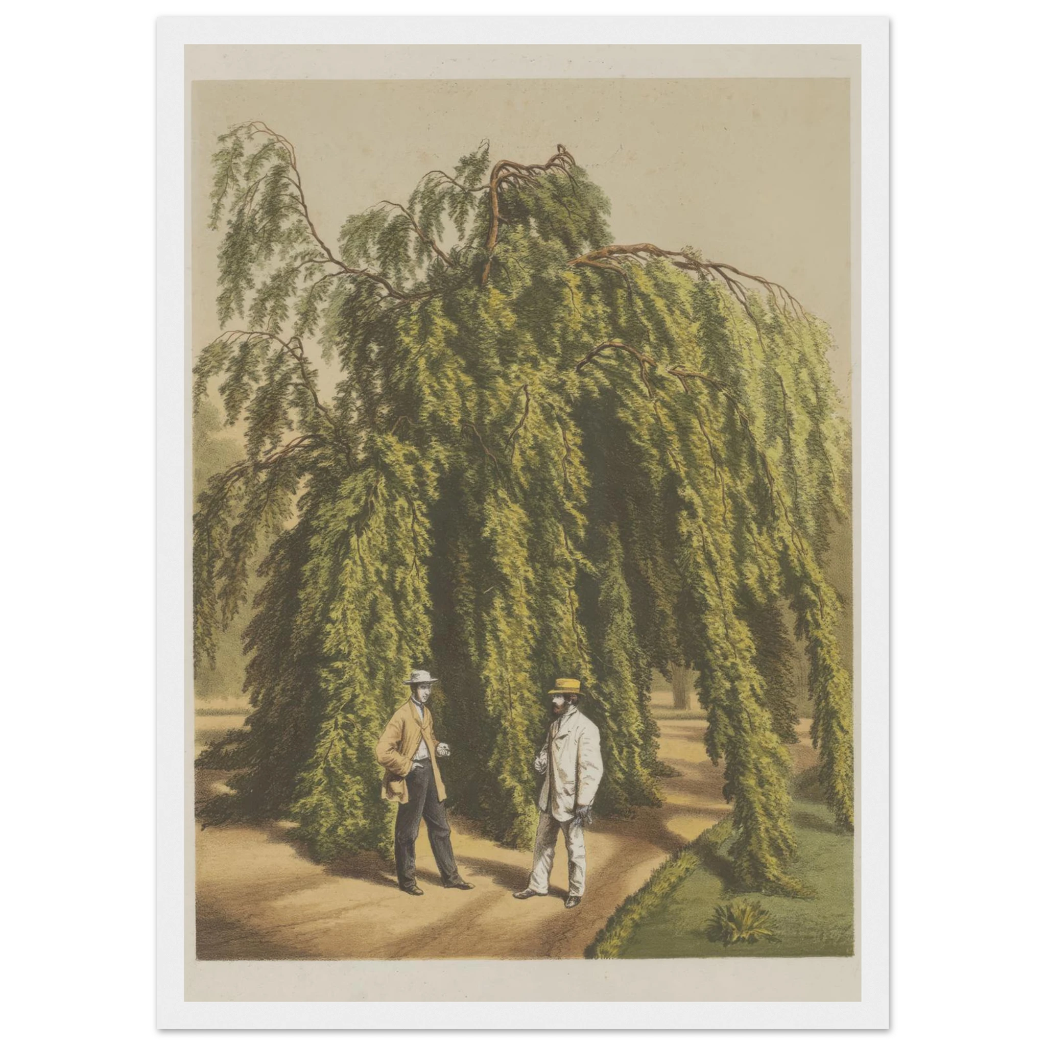 d35a1ed7-e91c-428b-8b78-f24ee174d578