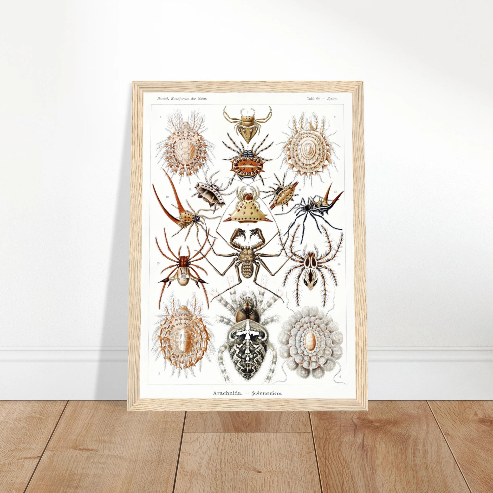 d3830882-b8ba-4752-93a8-5c00866c2b91