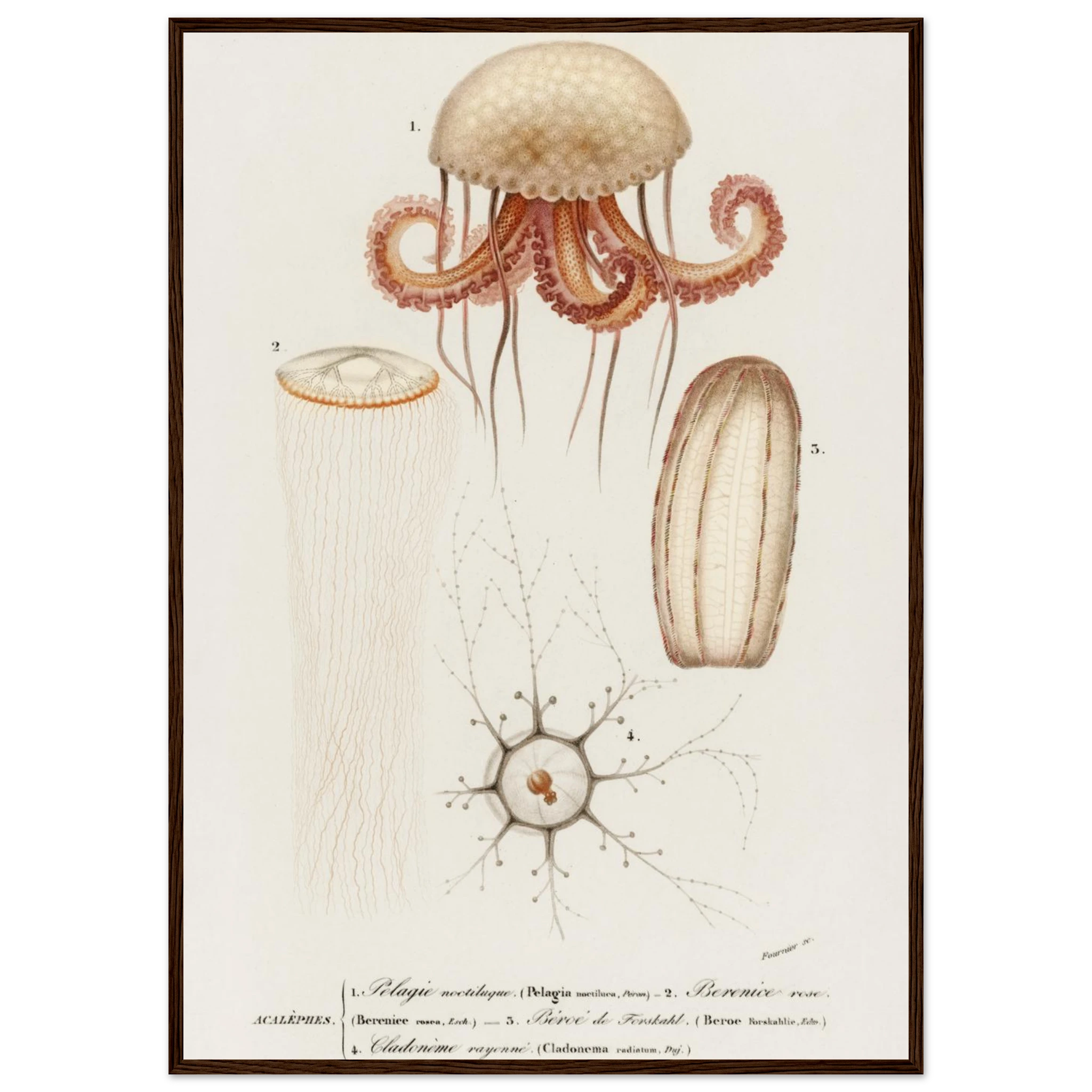 d39cea53-4c16-49f0-9ded-78b95f60163c