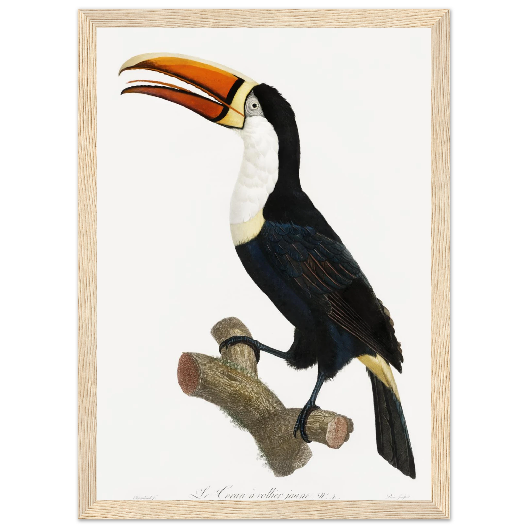 d3a31a01-3203-44be-b6a6-fa4bcf23c682