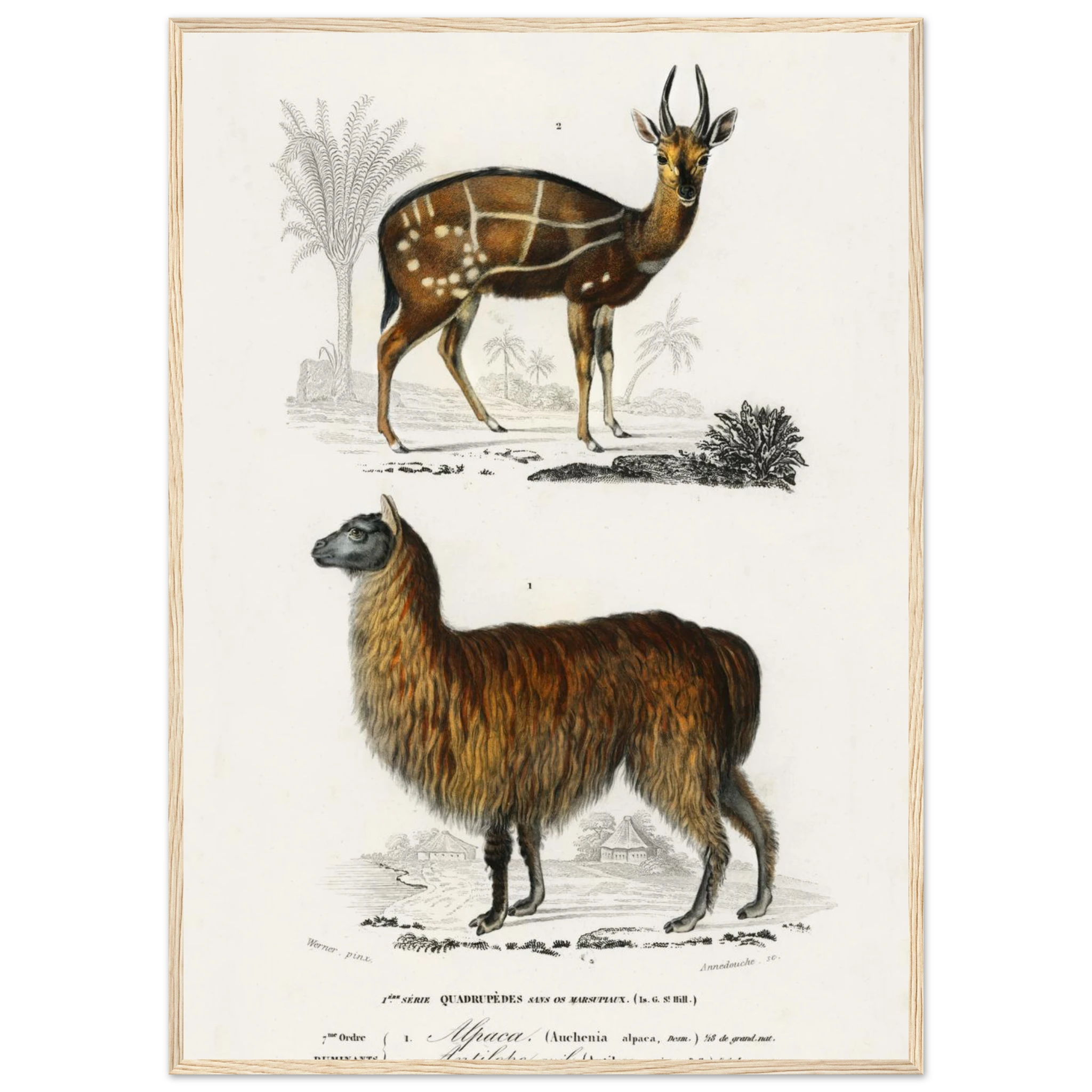 d3f4ffd5-2f4f-4f02-9e60-2d11c0947d94