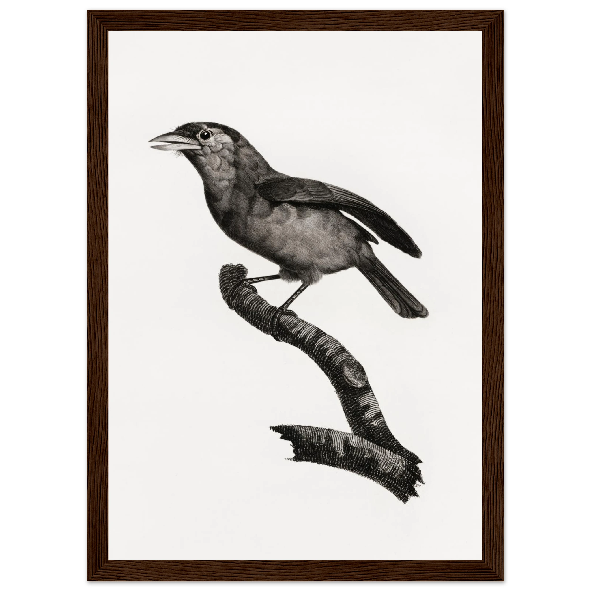 d426d7d1-c9c0-4749-a74c-a621027f8cda