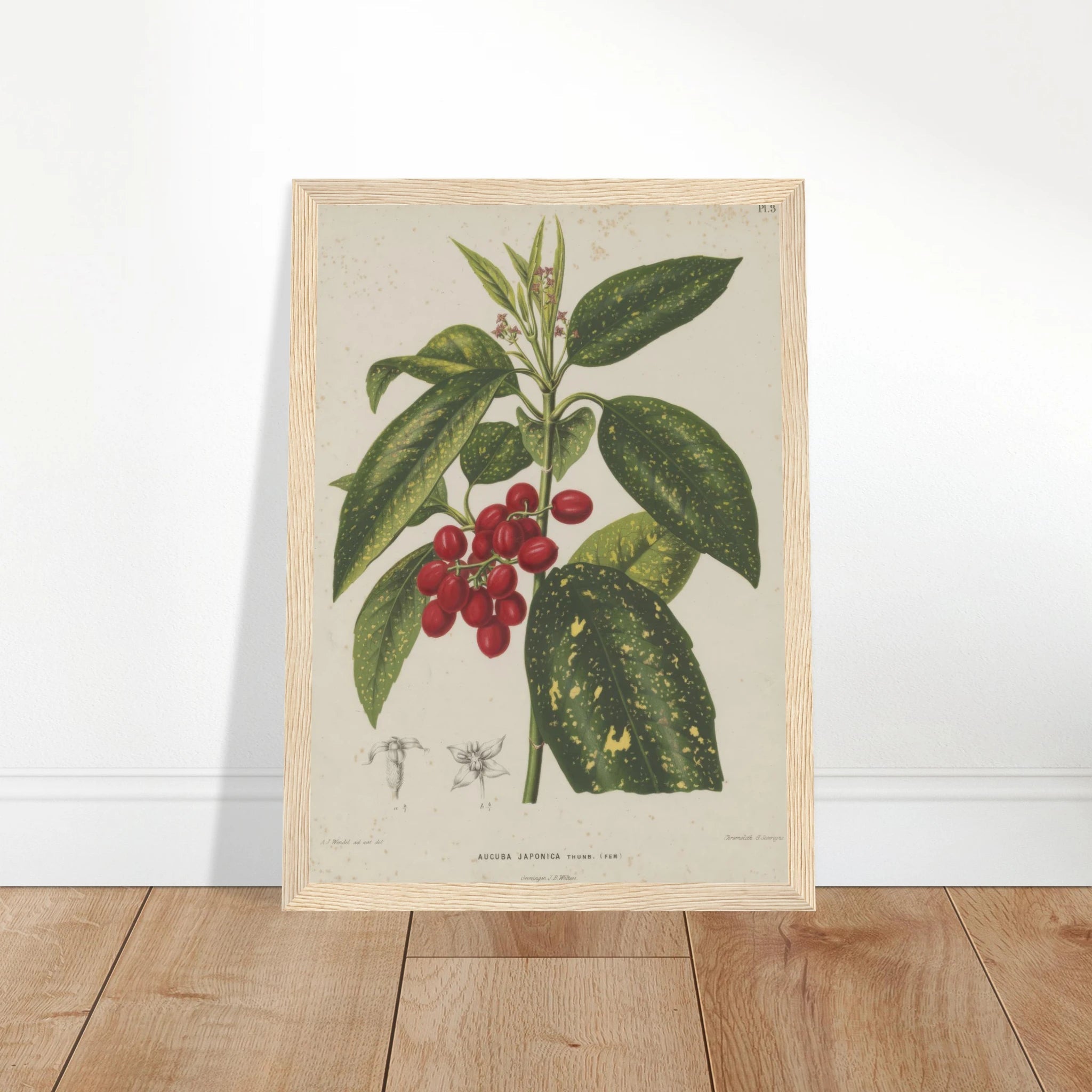 d42a2770-18a2-49ca-8612-d23a2da76e90