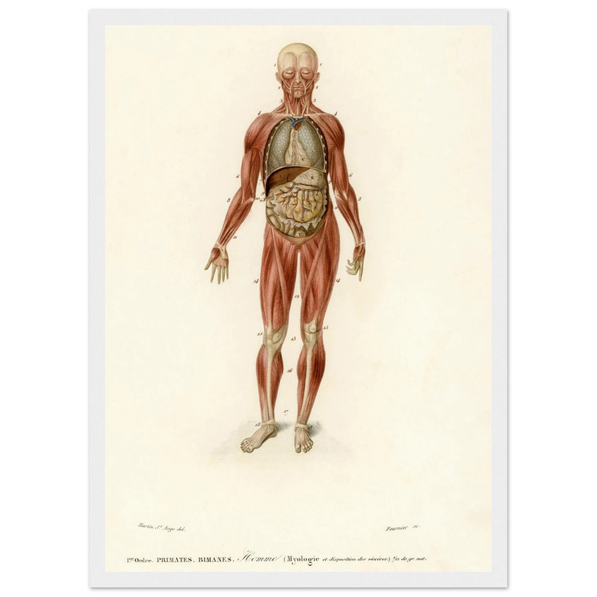 d4386472-44c0-48da-9dc0-91939992b0ac