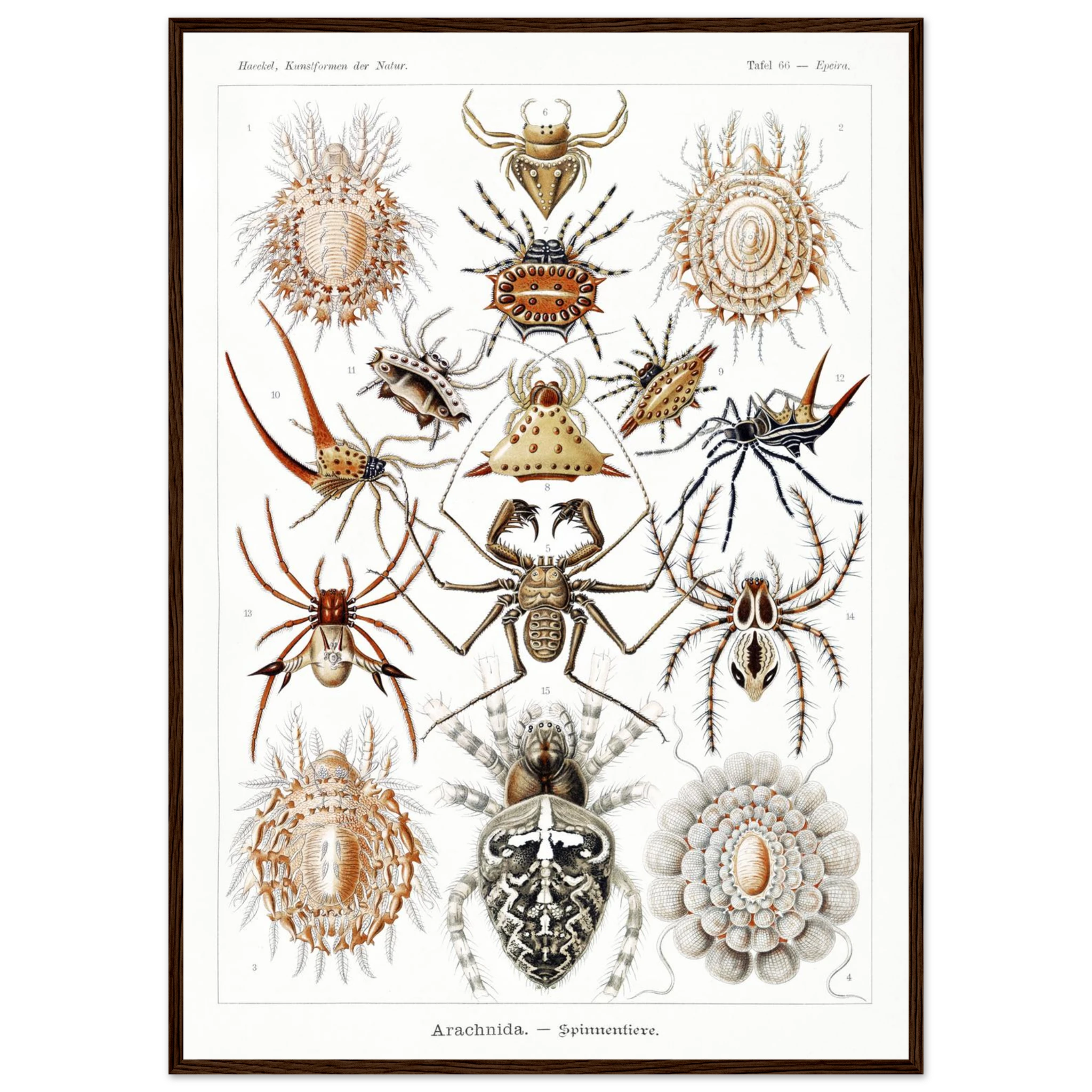 d43bacc4-efcb-44c6-9438-50c7e4e80178