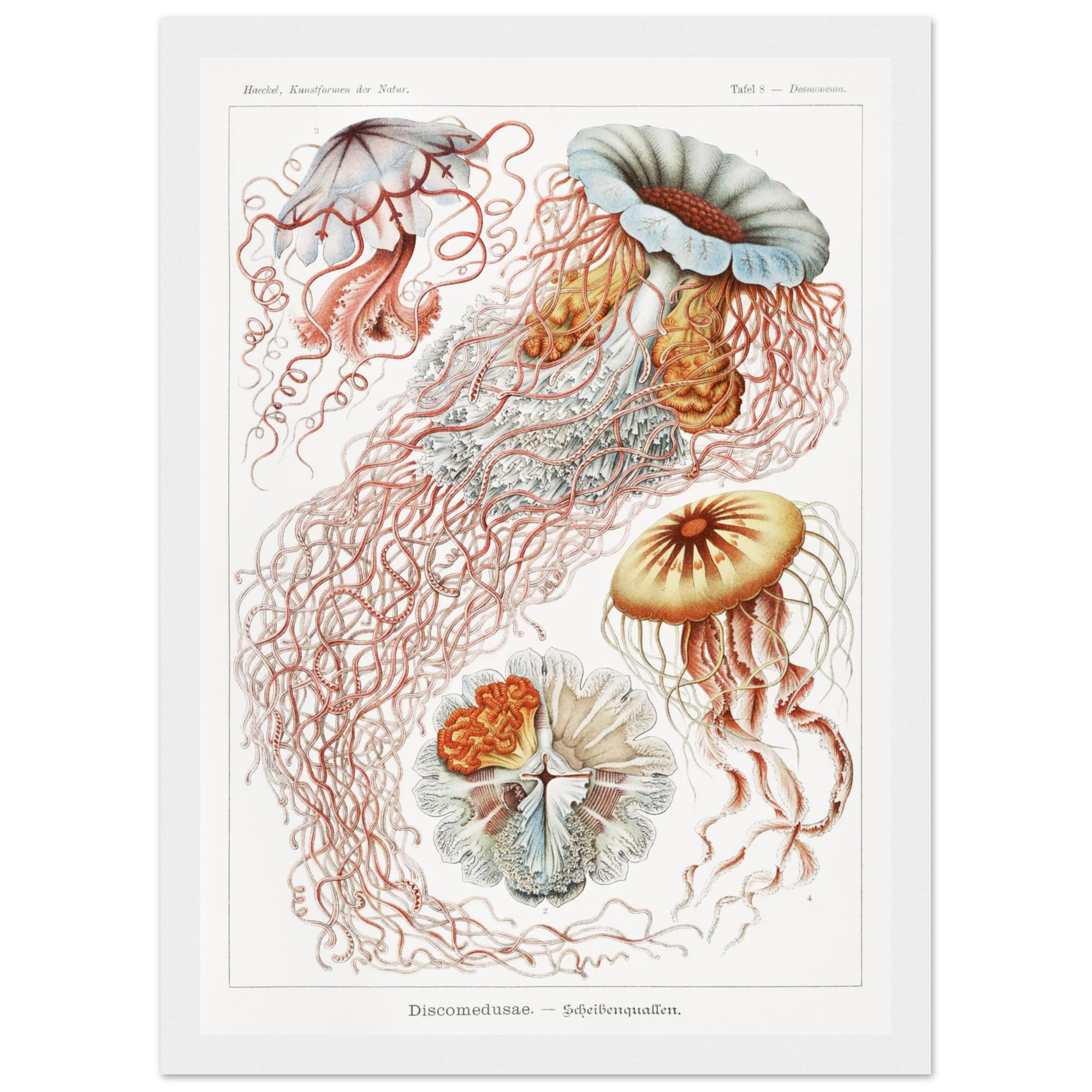 d43cfae6-fd00-4790-96f8-8934b26facac