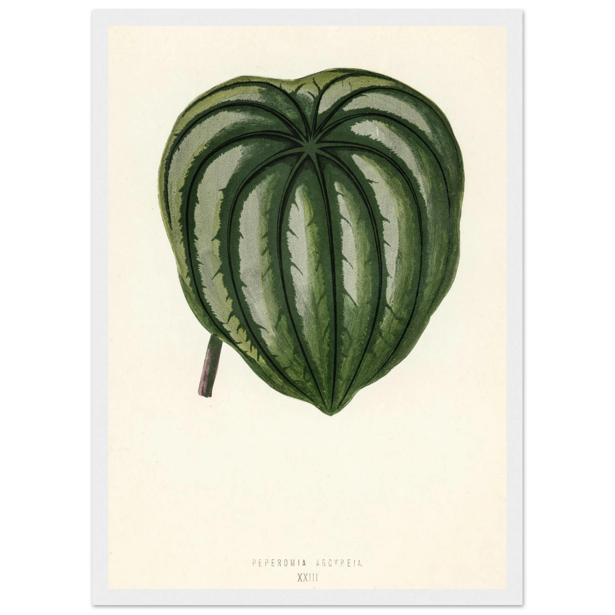 d454c8f2-6b89-4ae4-a20e-7a24dd523356