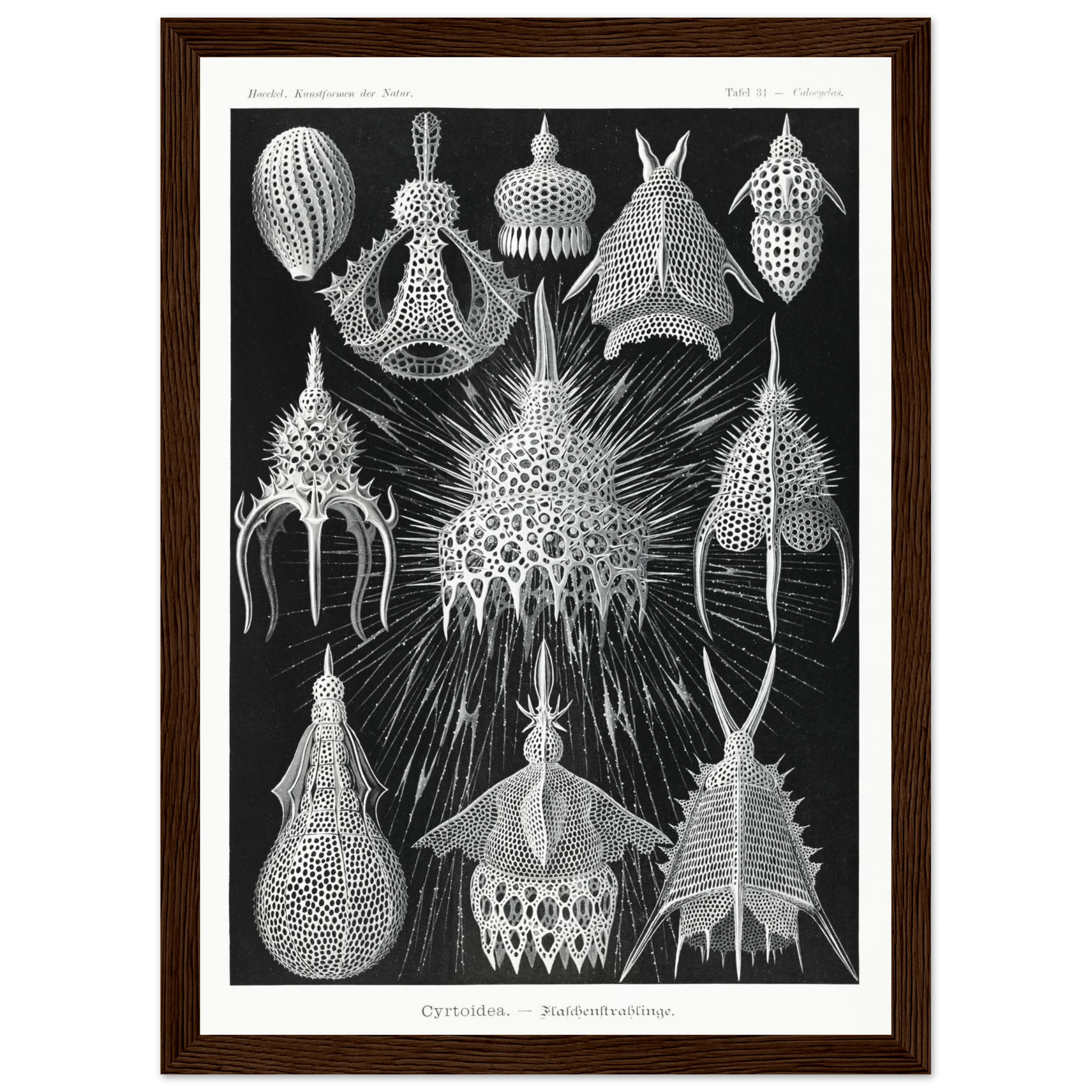 d46d2a38-6e2a-4644-8e0e-d3fe83360669