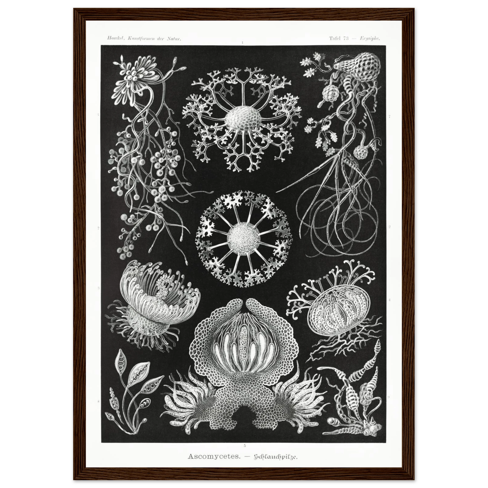 d495c2d1-9b76-476c-82b8-32545f4d4f74