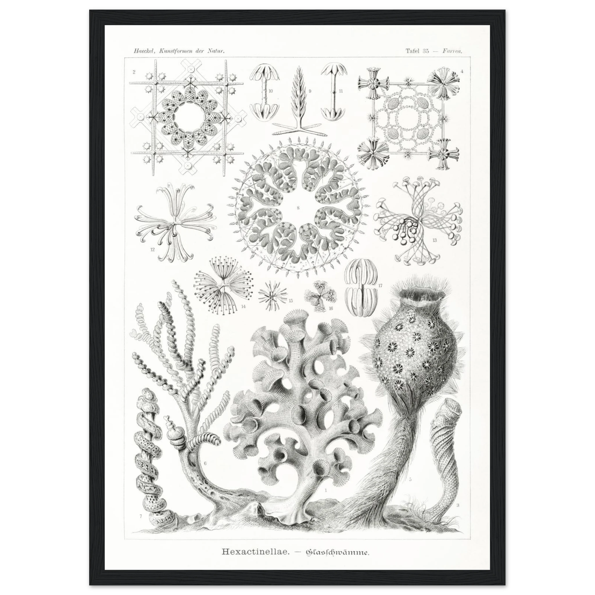 d4e14ac6-4631-4645-ab1d-dd8f0374efad