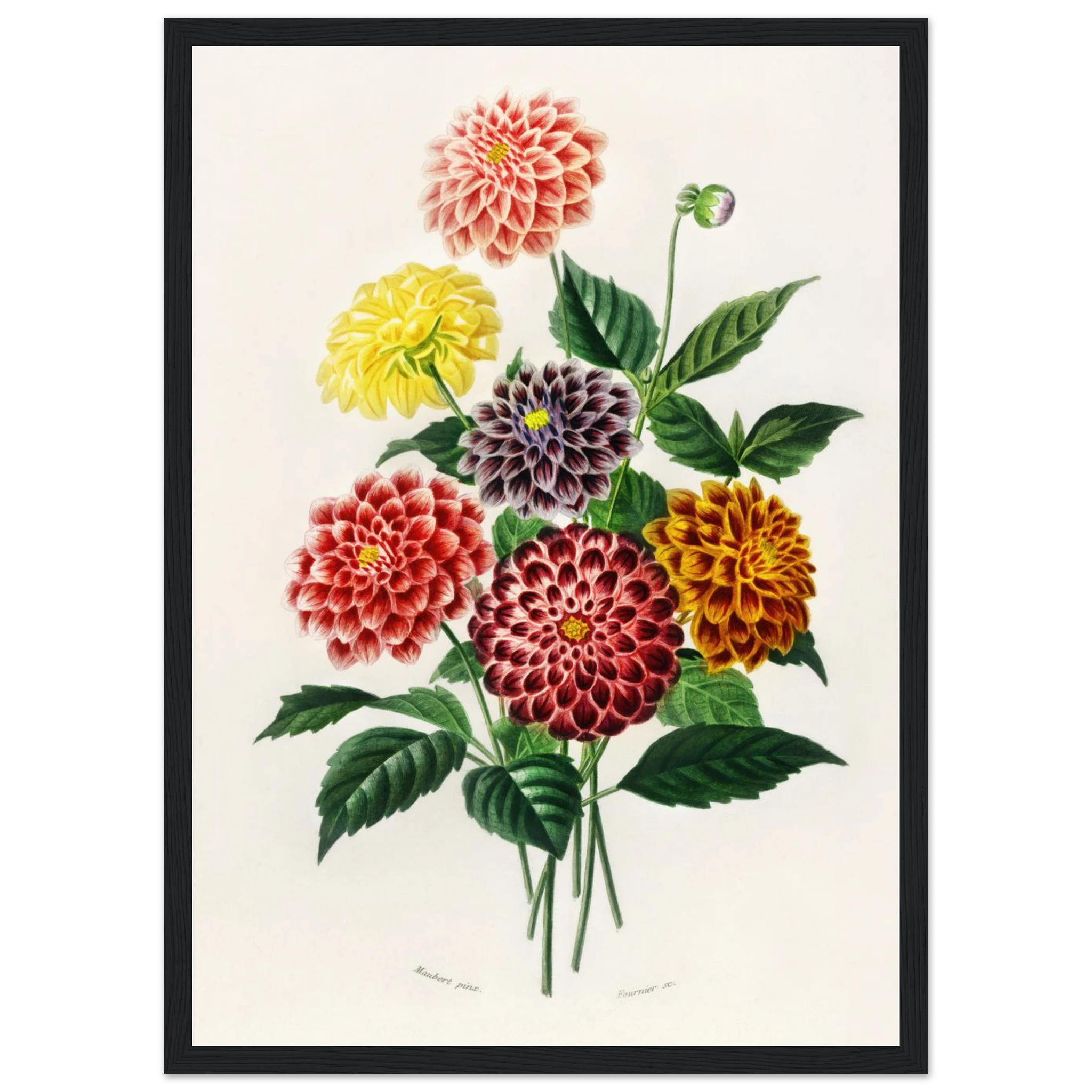 d5088a9a-fa8c-4614-a454-03ff450d4972