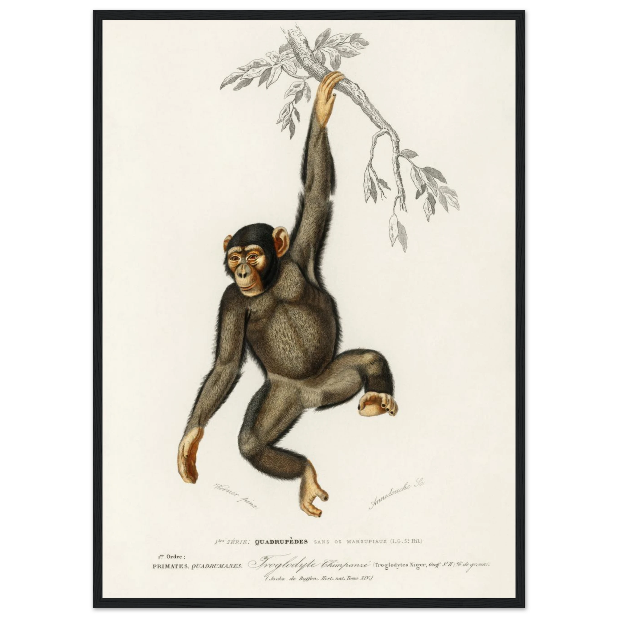 d53ca3f9-9cef-468e-a9c6-4a872d8989c6