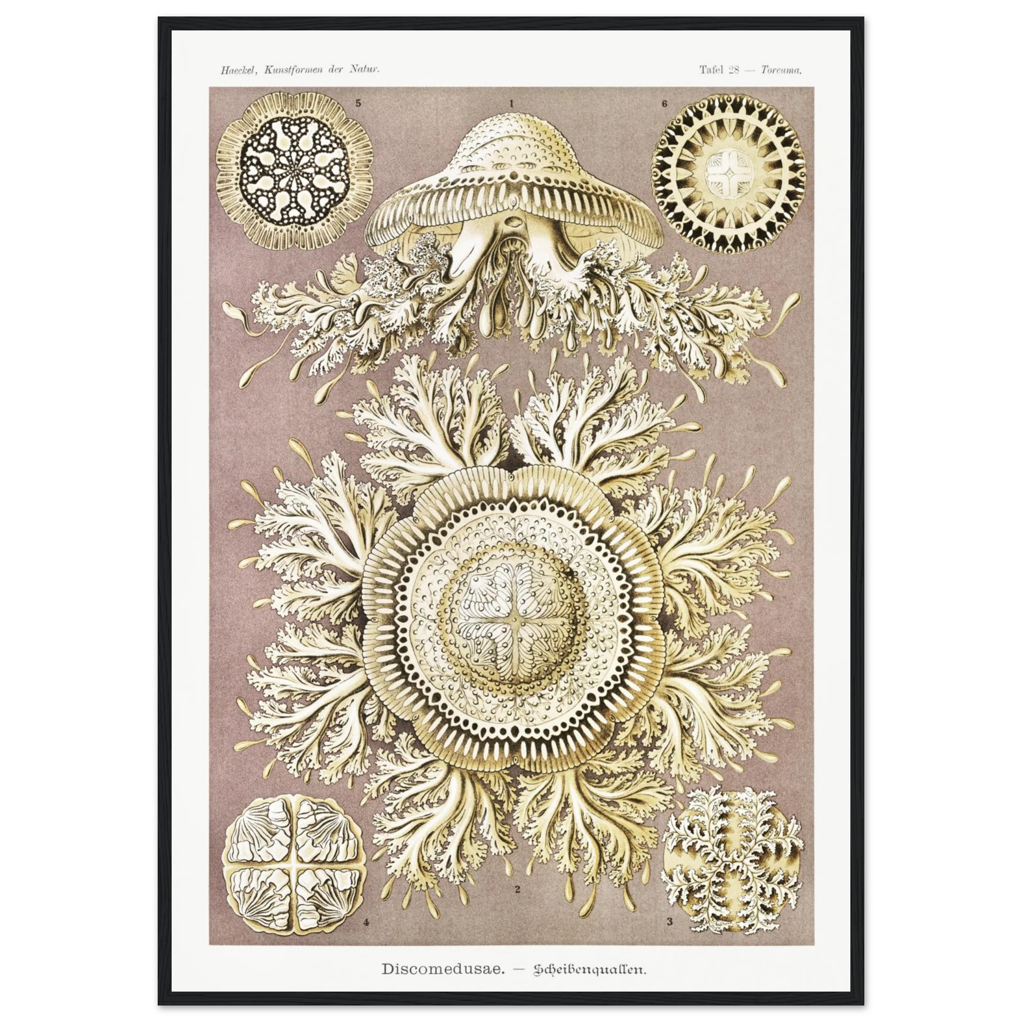 d55510d9-e27c-424c-bdcb-e42e51bc27ba